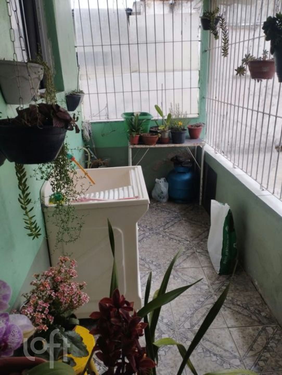 Imagem da propriedade 12