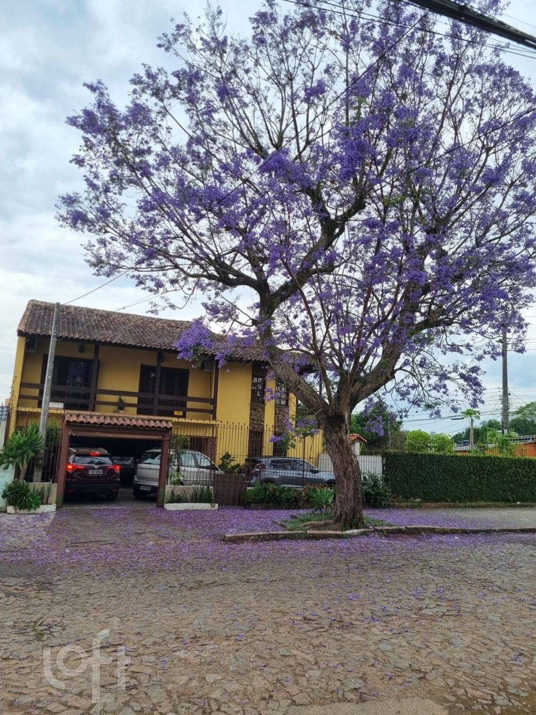 Imagem da propriedade 19