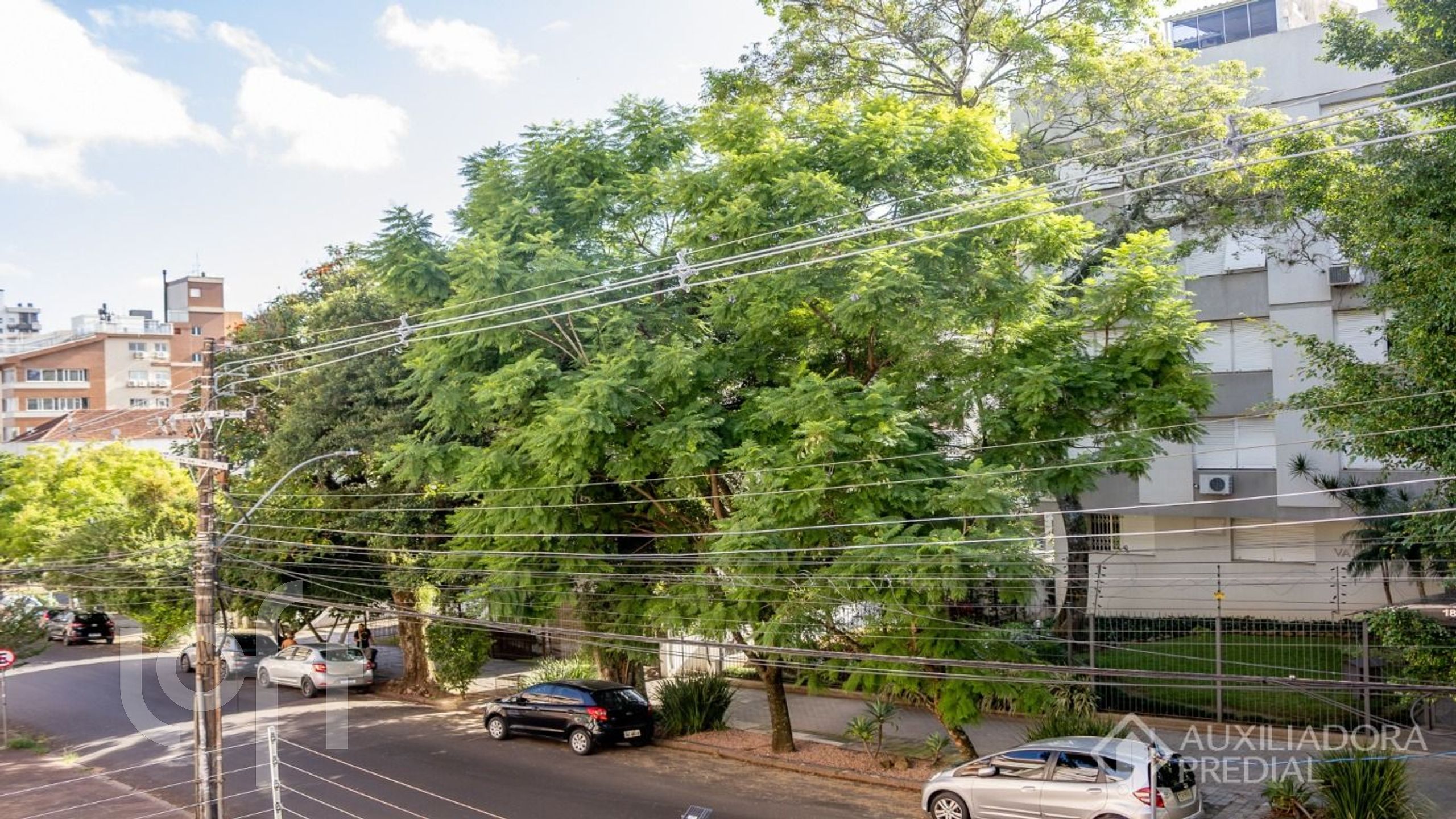 Imagem da propriedade 52