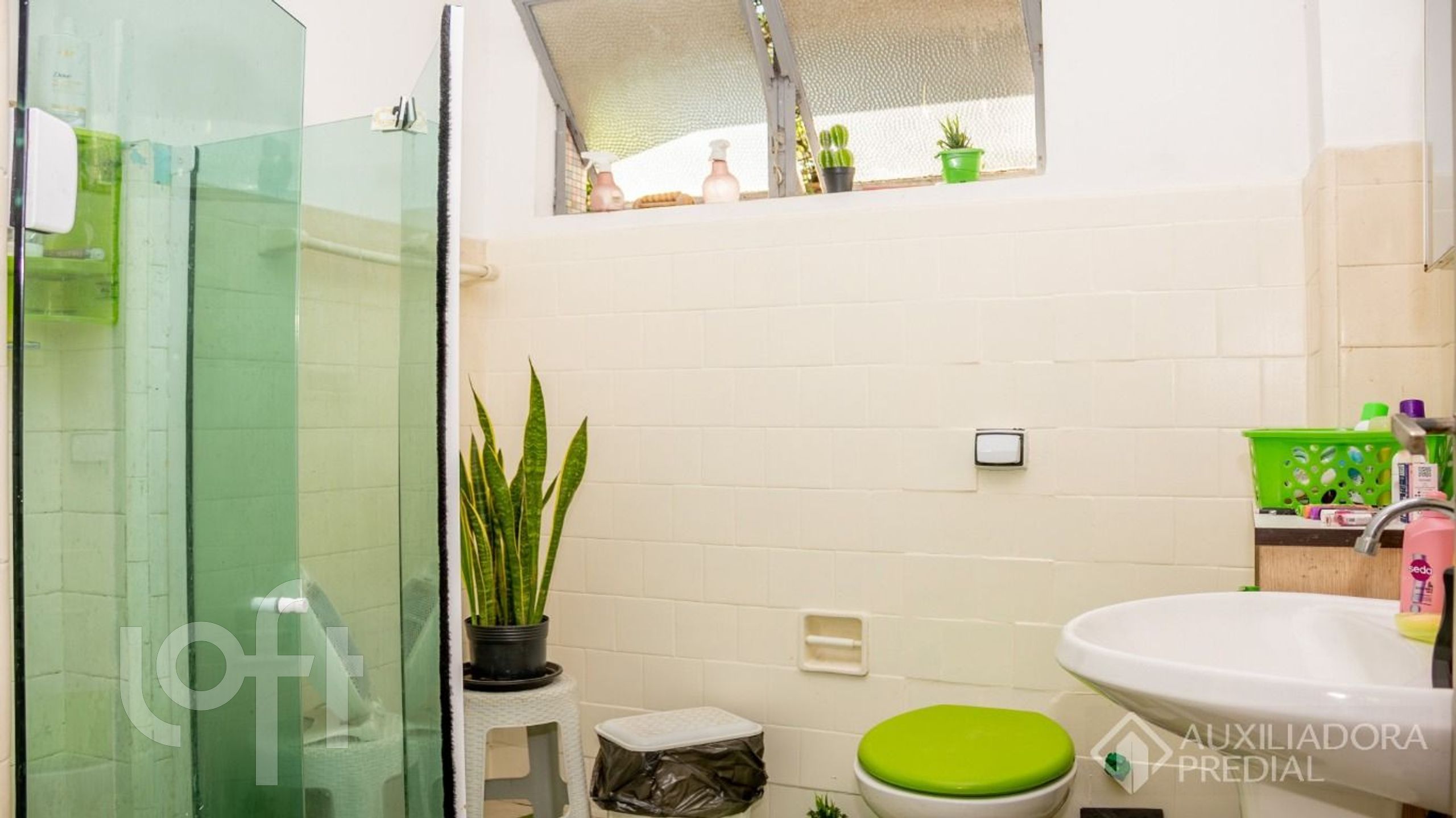 Imagem da propriedade 36