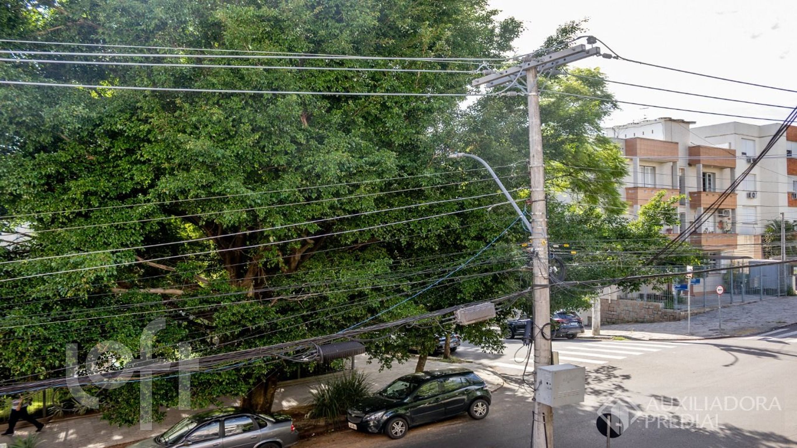 Imagem da propriedade 46