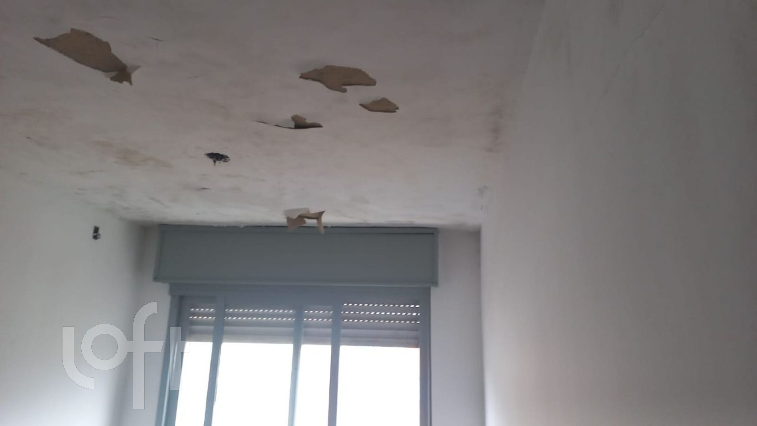 Imagem da propriedade 15