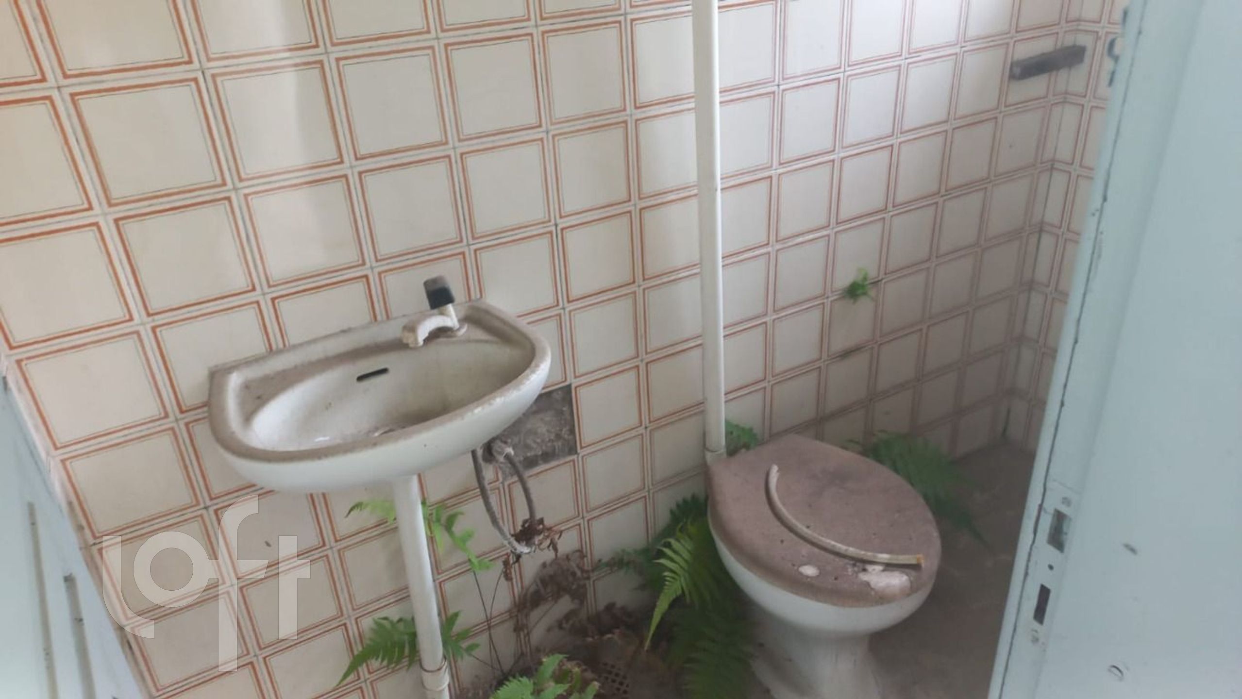 Imagem da propriedade 14