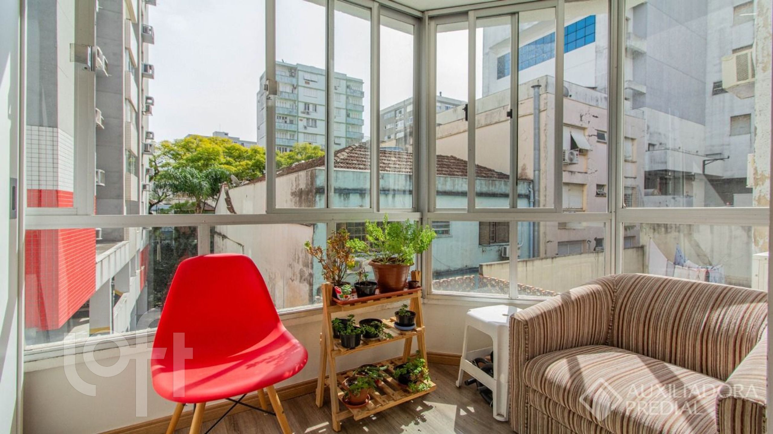 Imagem da propriedade 4