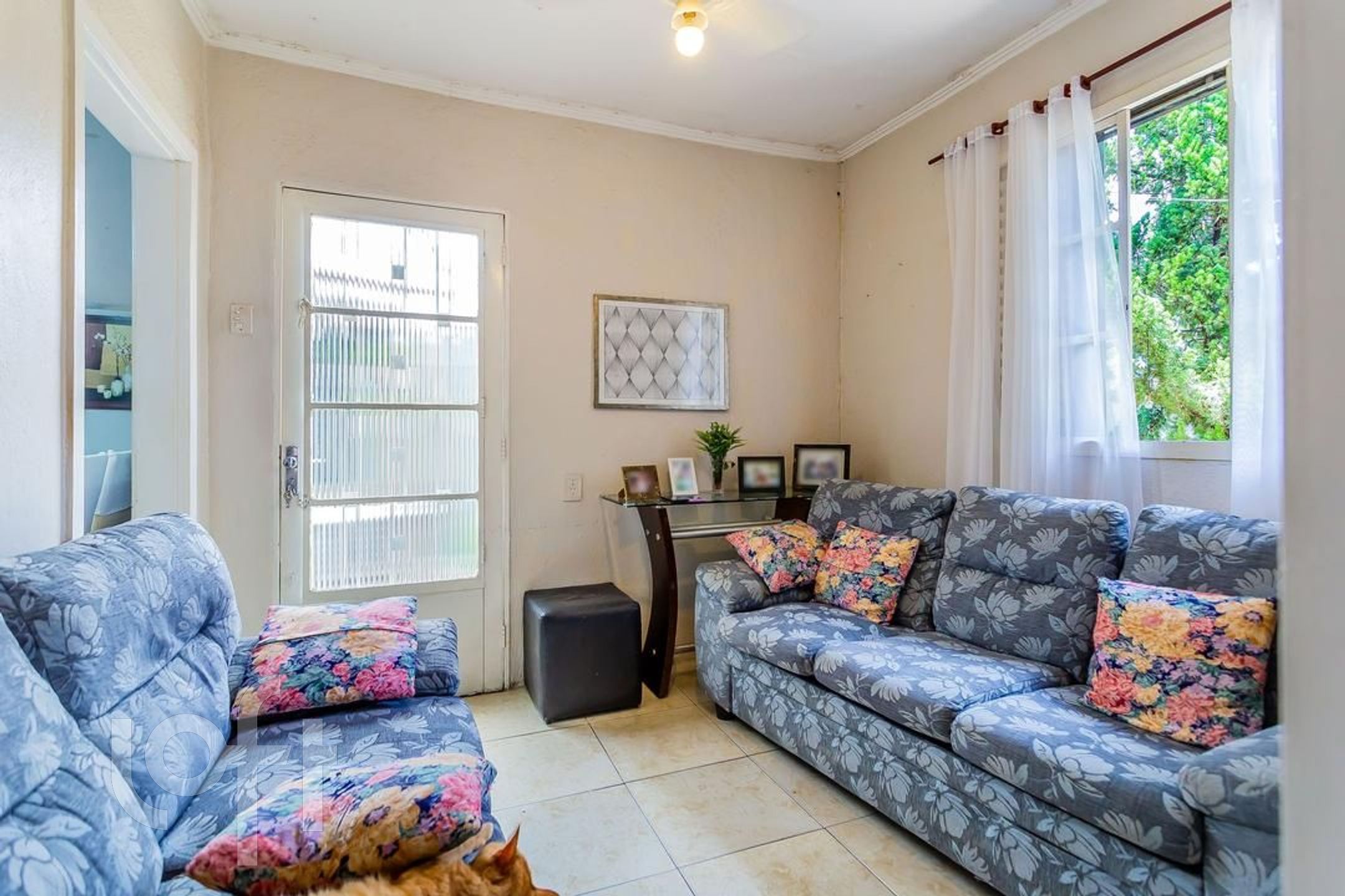 Imagem da propriedade 4