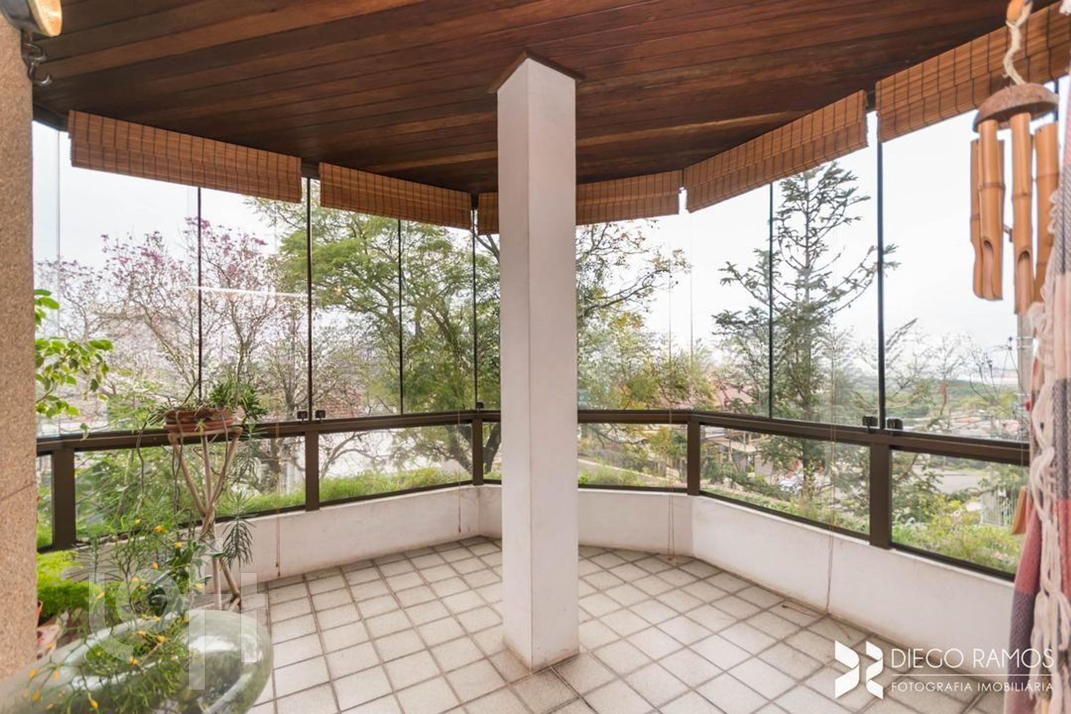 Imagem da propriedade 15