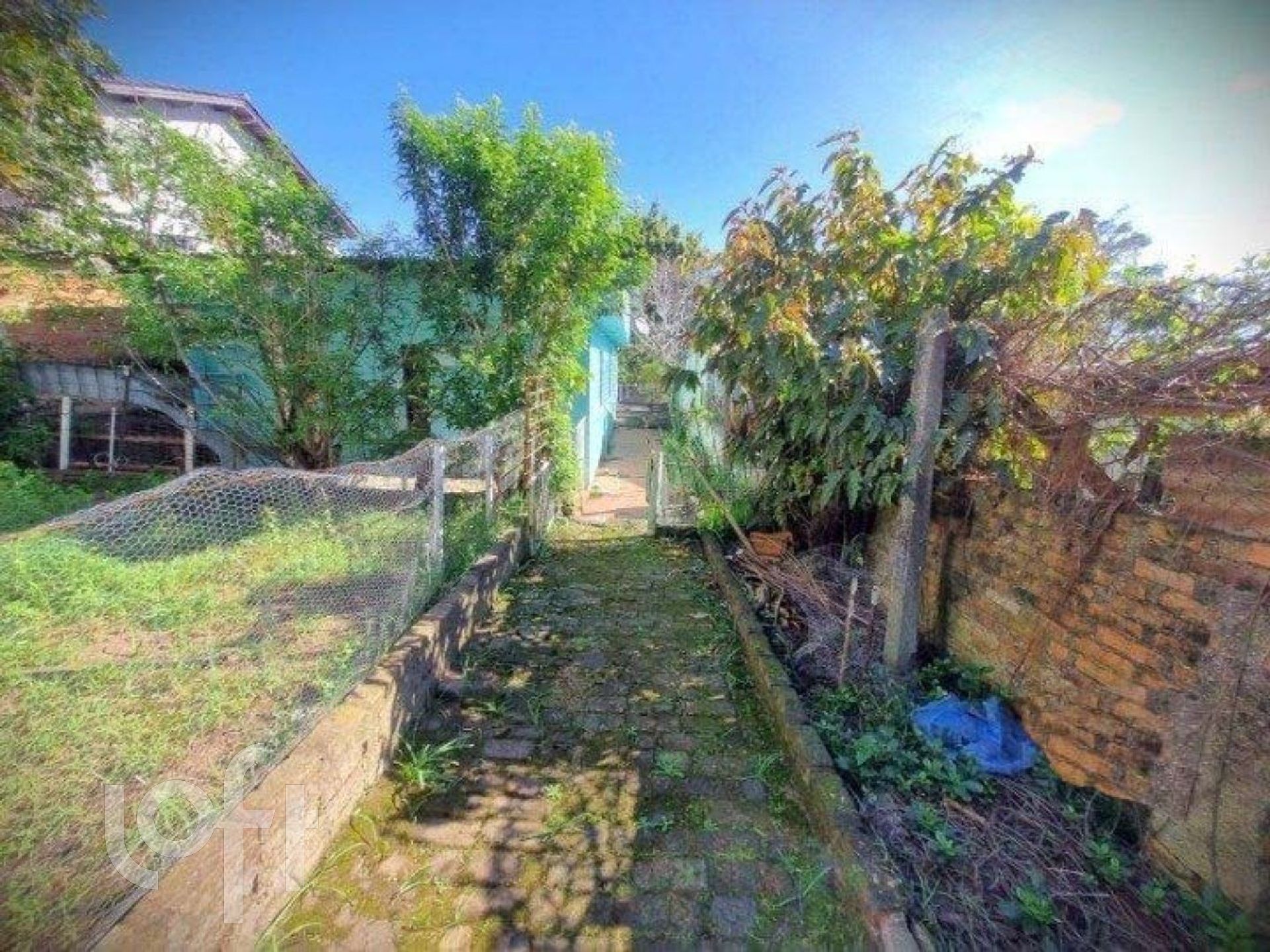 Imagem da propriedade 15