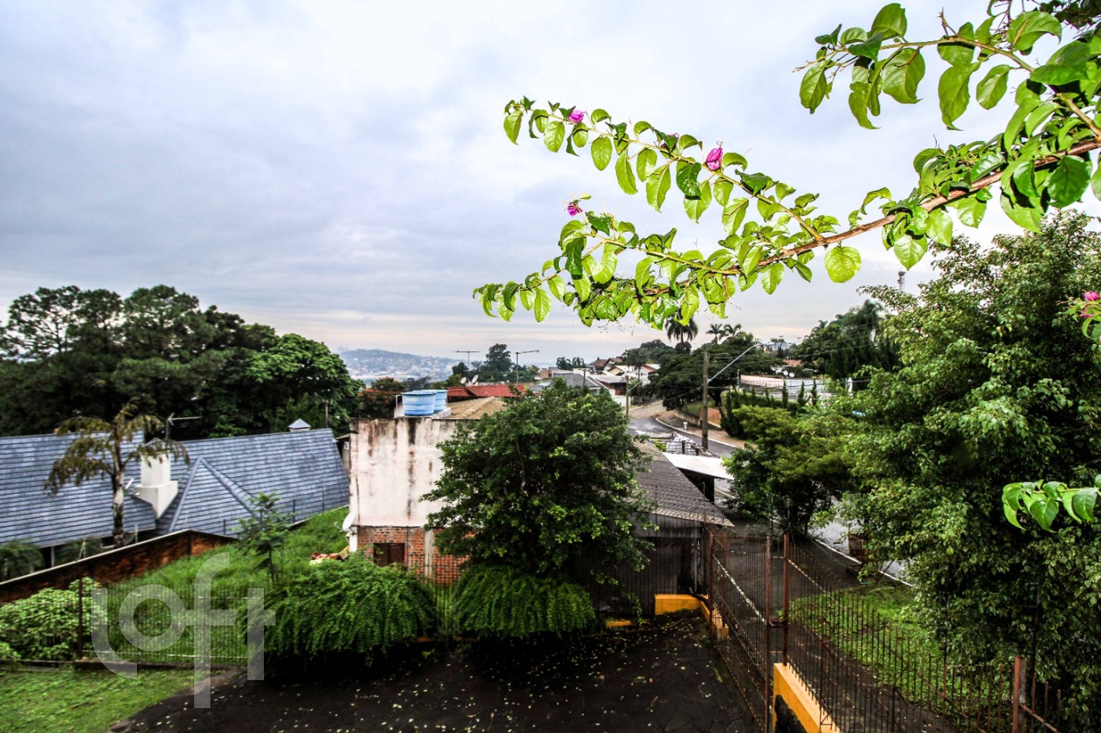 Imagem da propriedade 27