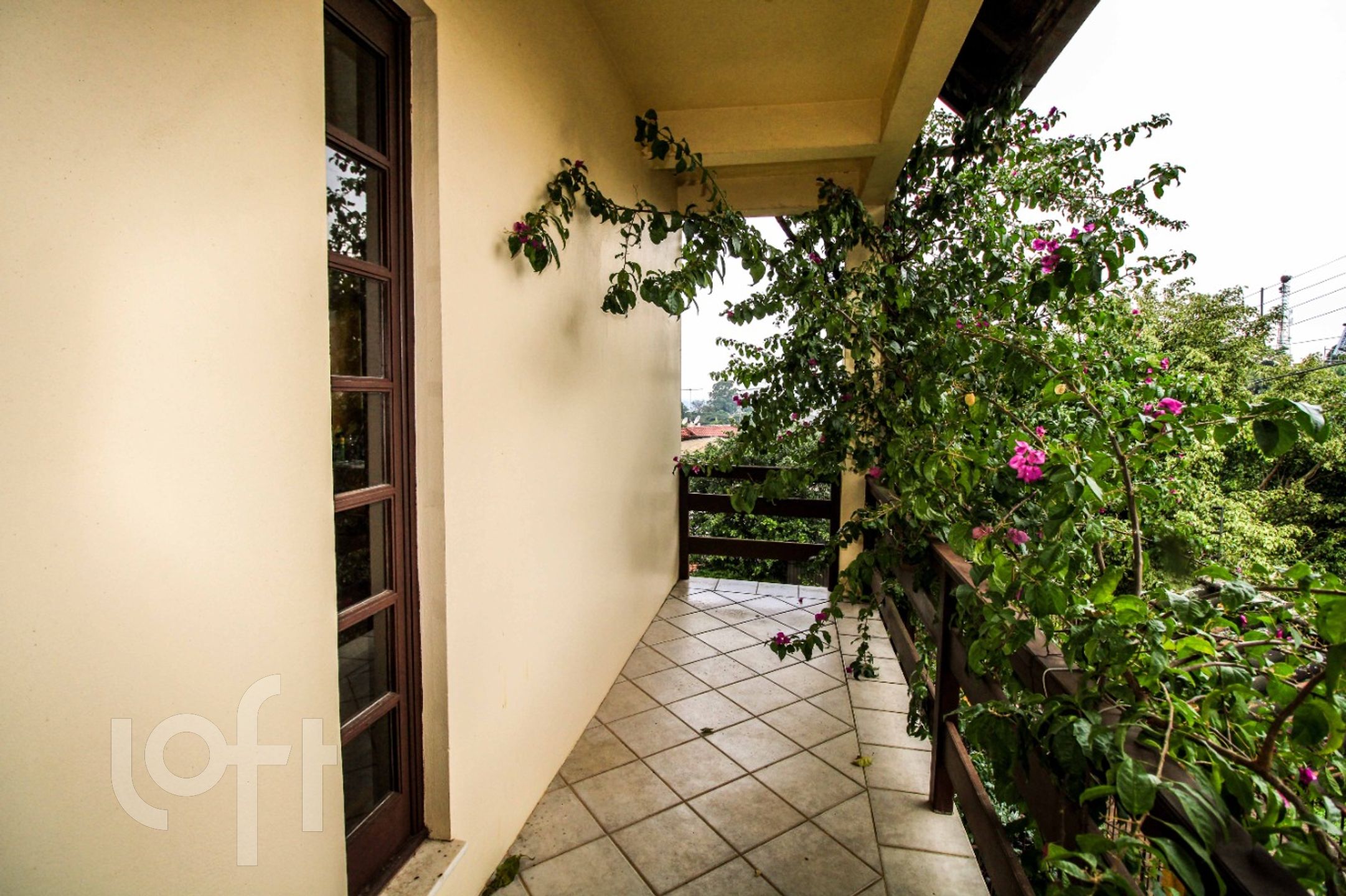 Imagem da propriedade 25