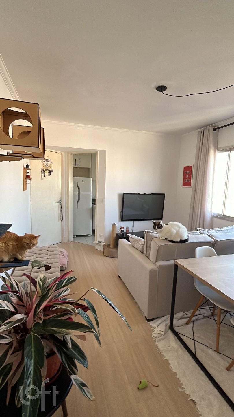 Apartamento à venda com 2 quartos, 50m² - Foto 1