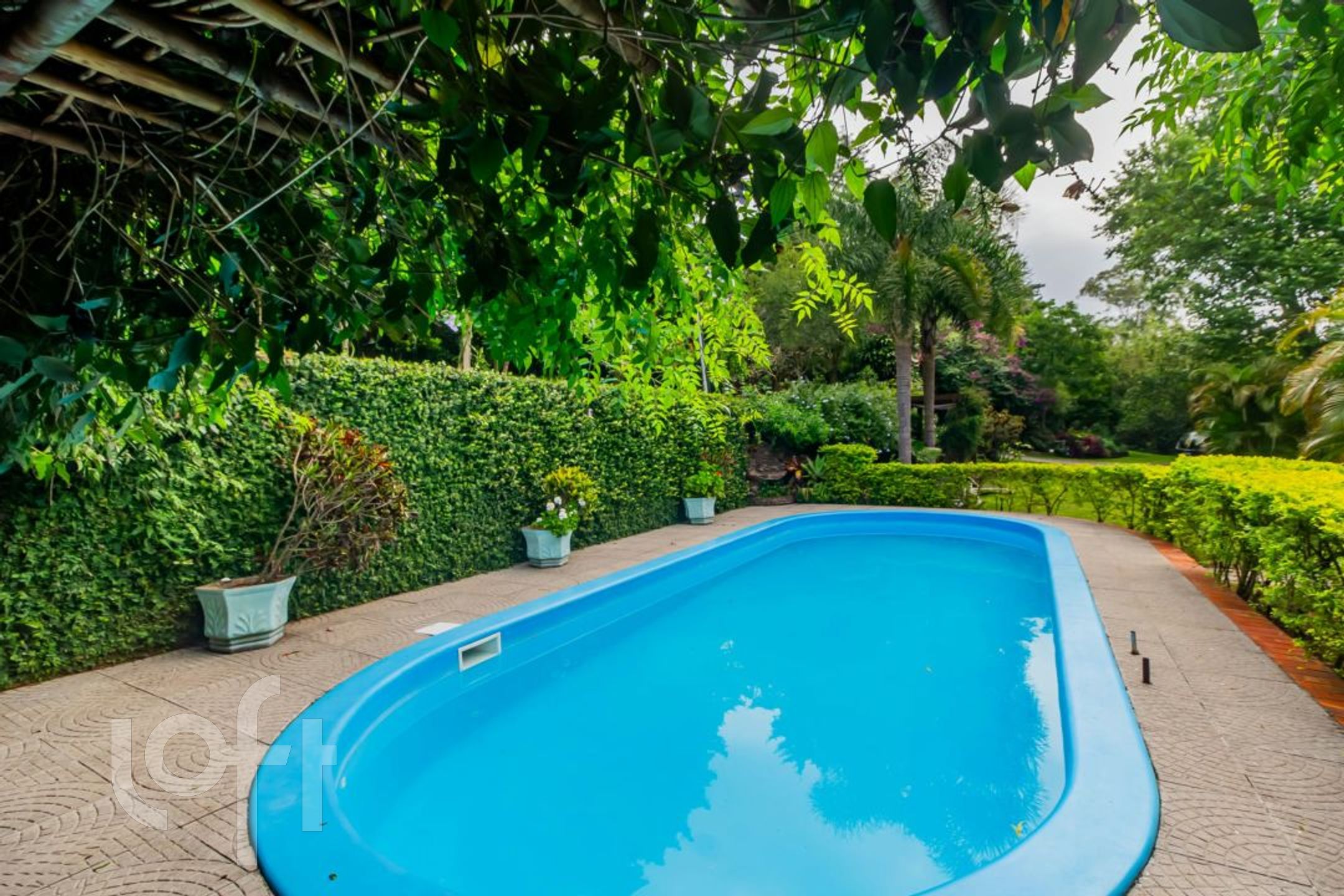 Imagem da propriedade 7