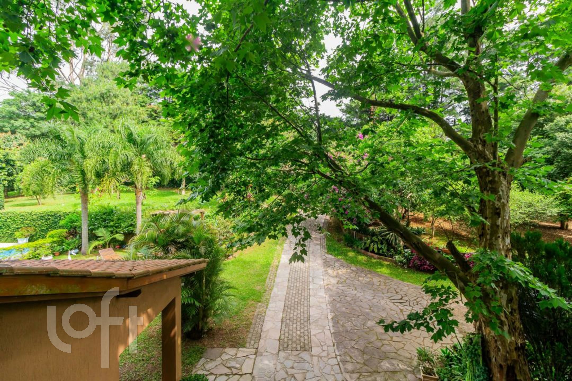 Imagem da propriedade 35