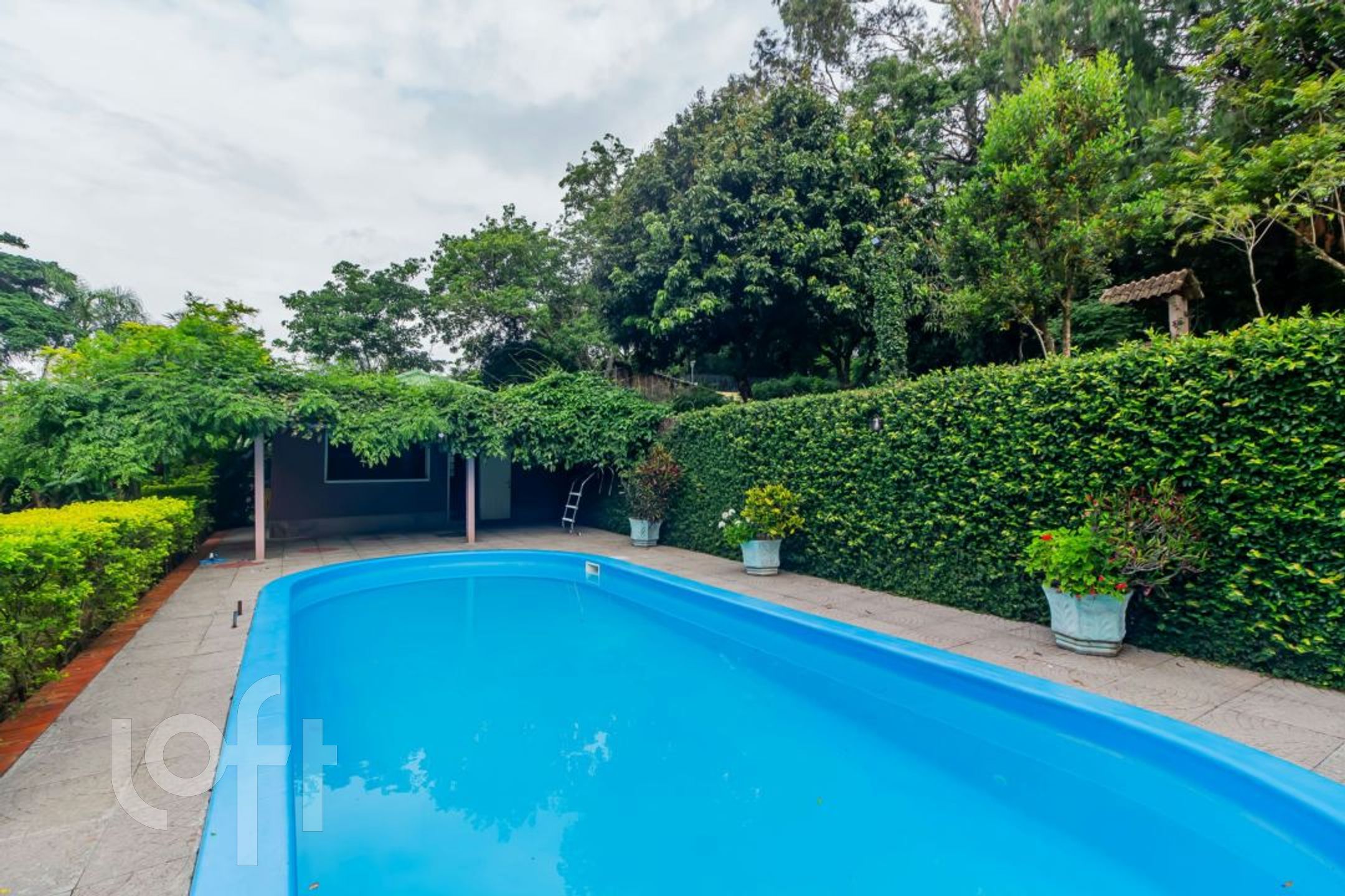 Imagem da propriedade 6