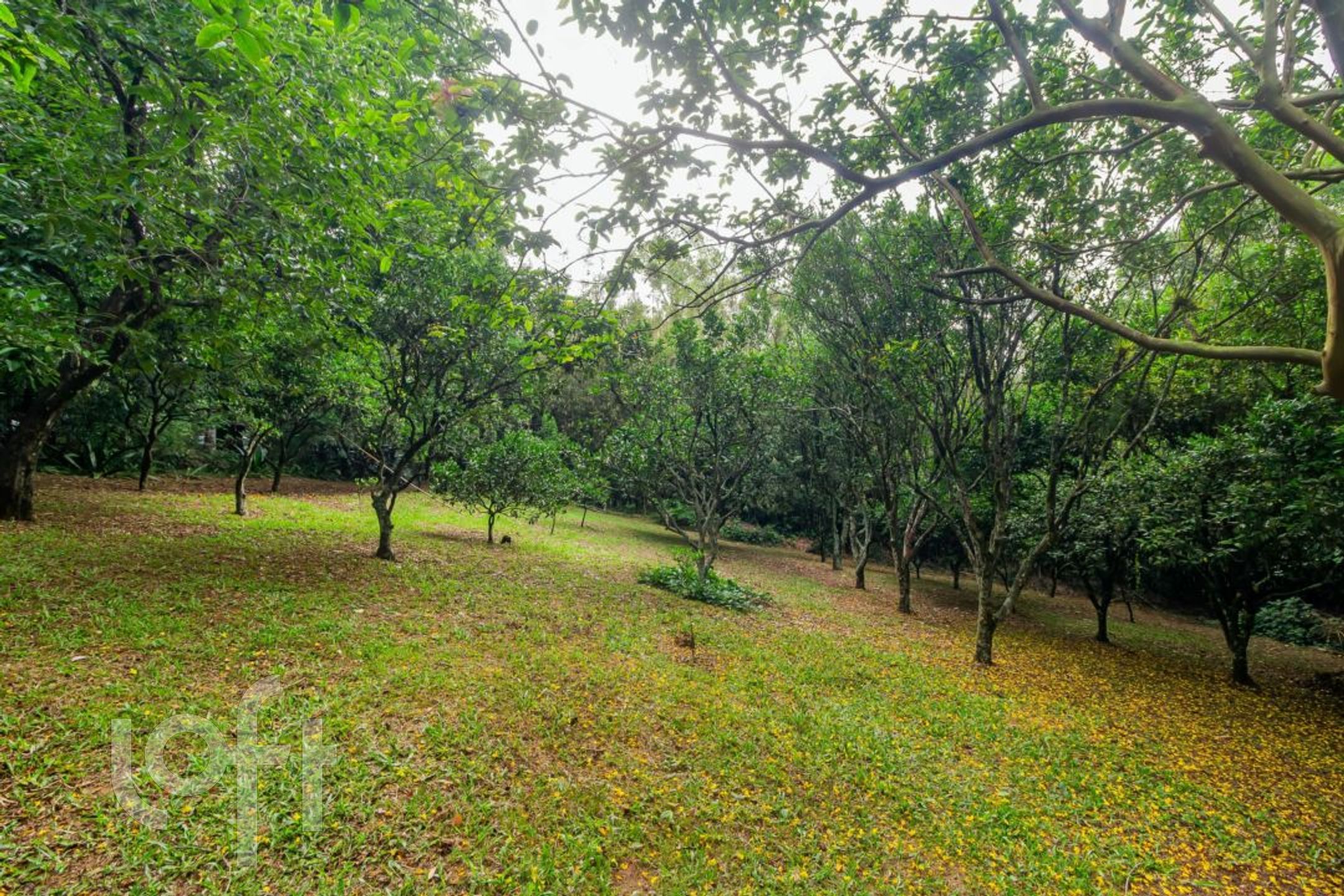 Imagem da propriedade 67