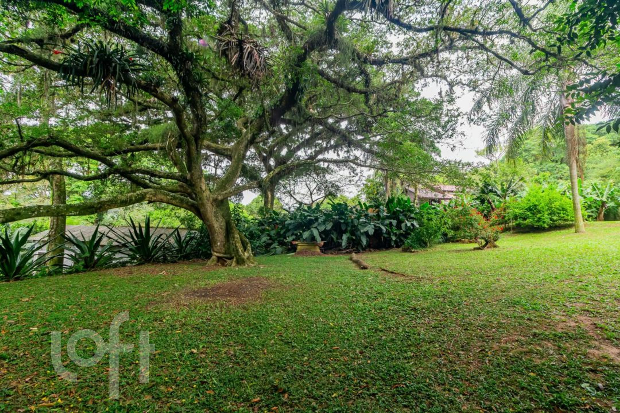 Imagem da propriedade 59