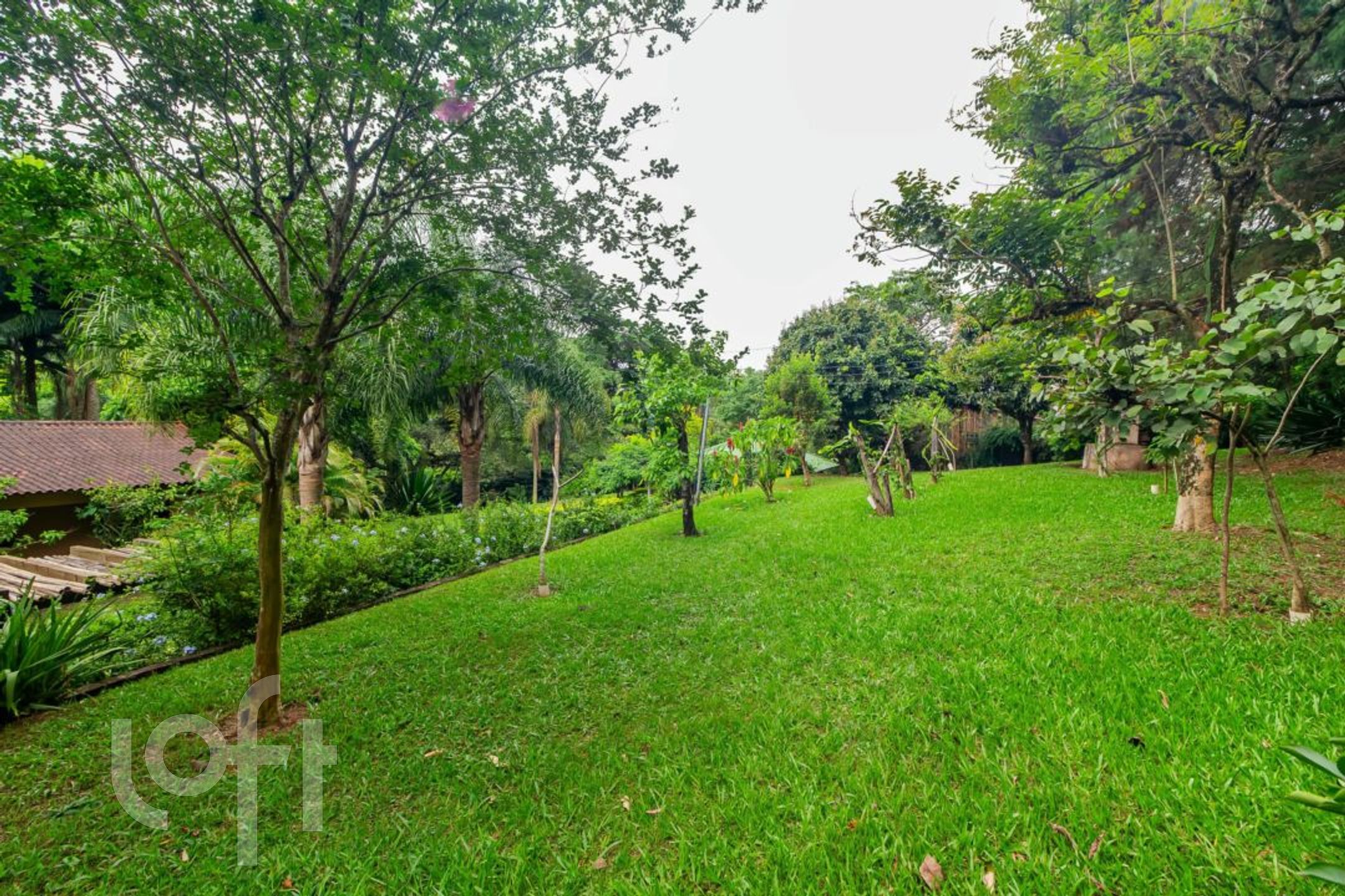 Imagem da propriedade 69