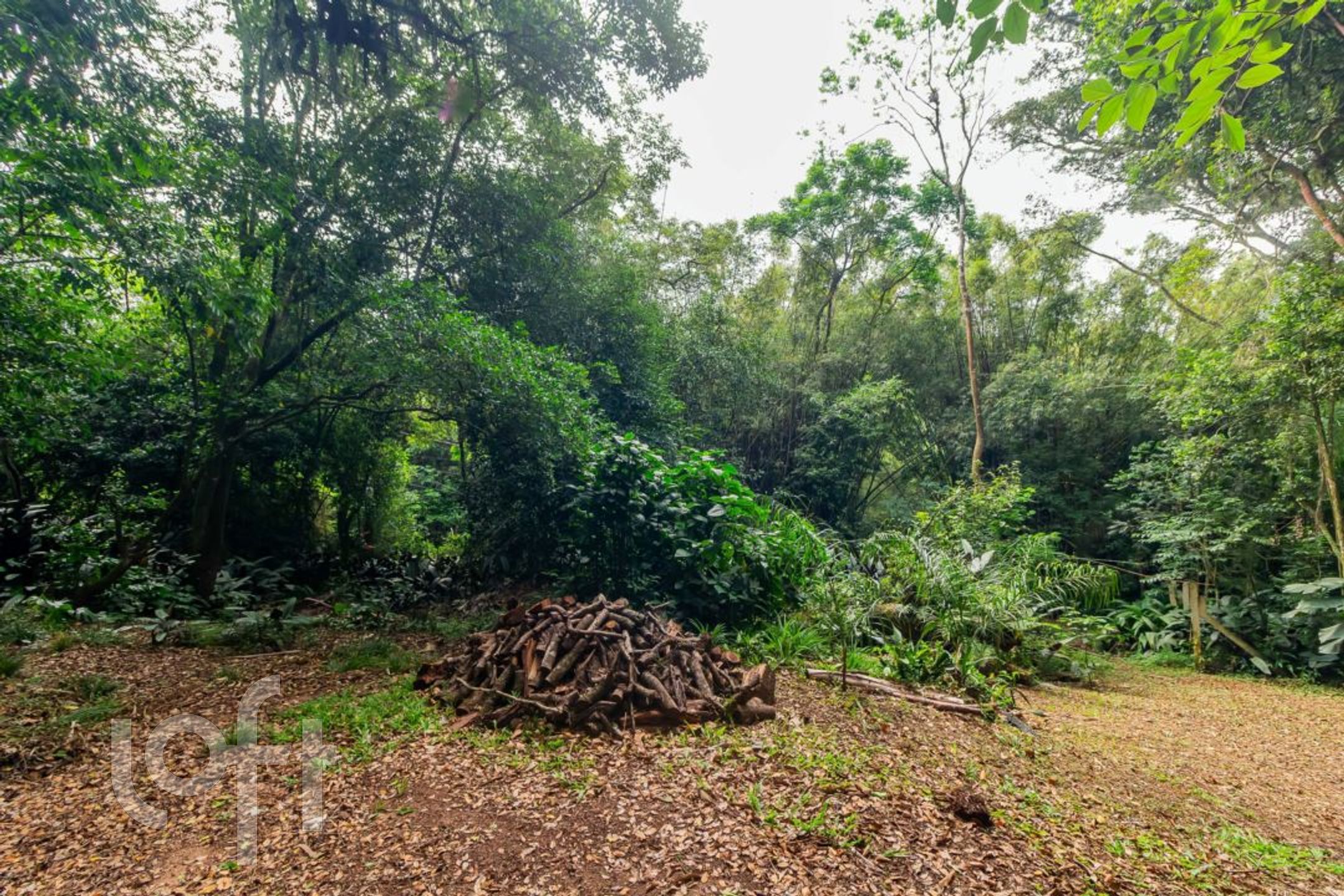 Imagem da propriedade 63