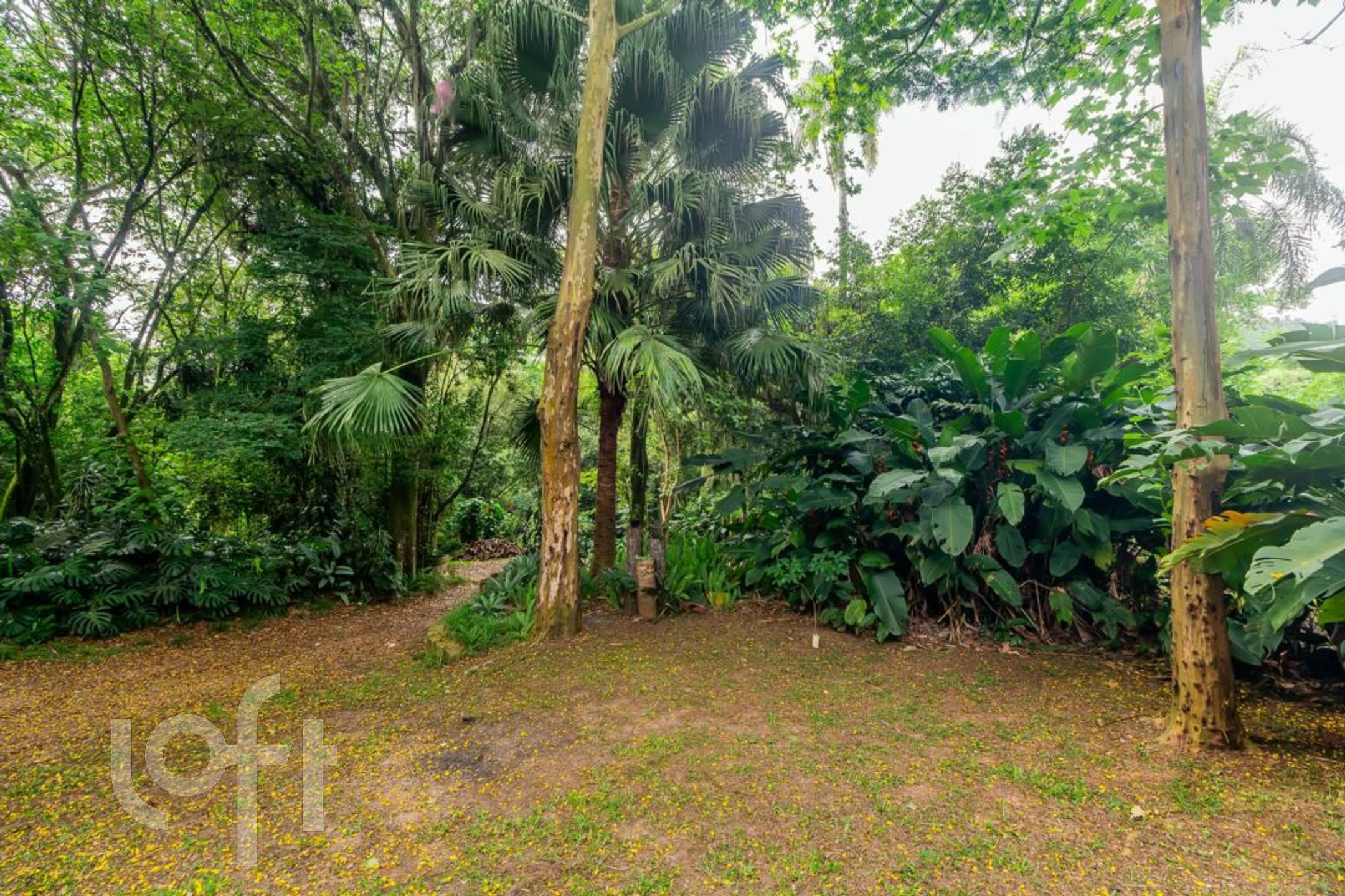 Imagem da propriedade 62