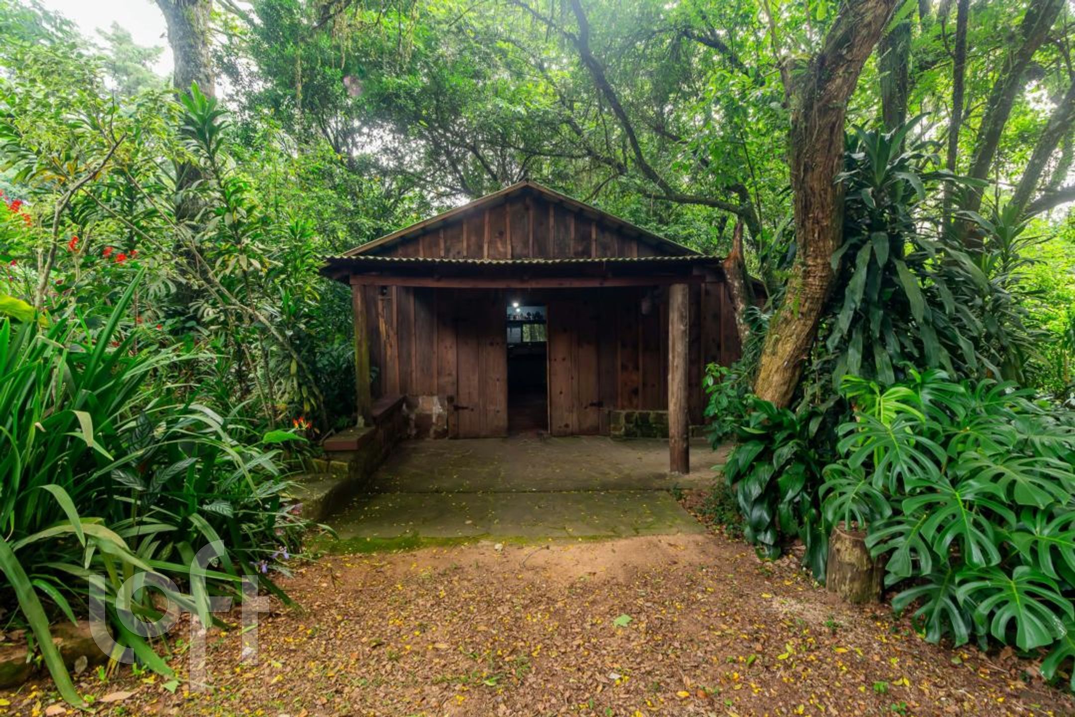 Imagem da propriedade 53