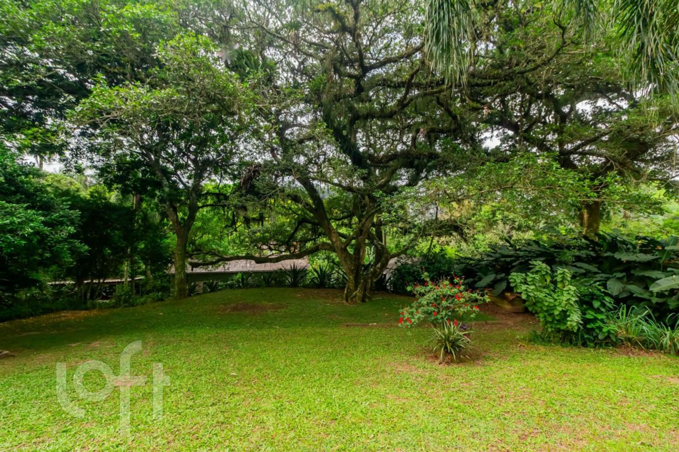 Imagem da propriedade 58