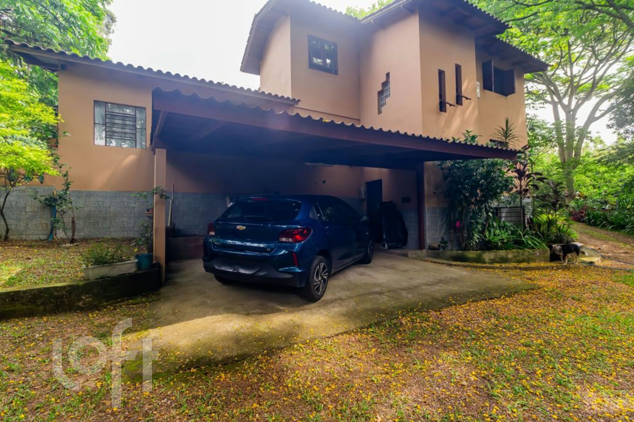 Imagem da propriedade 51