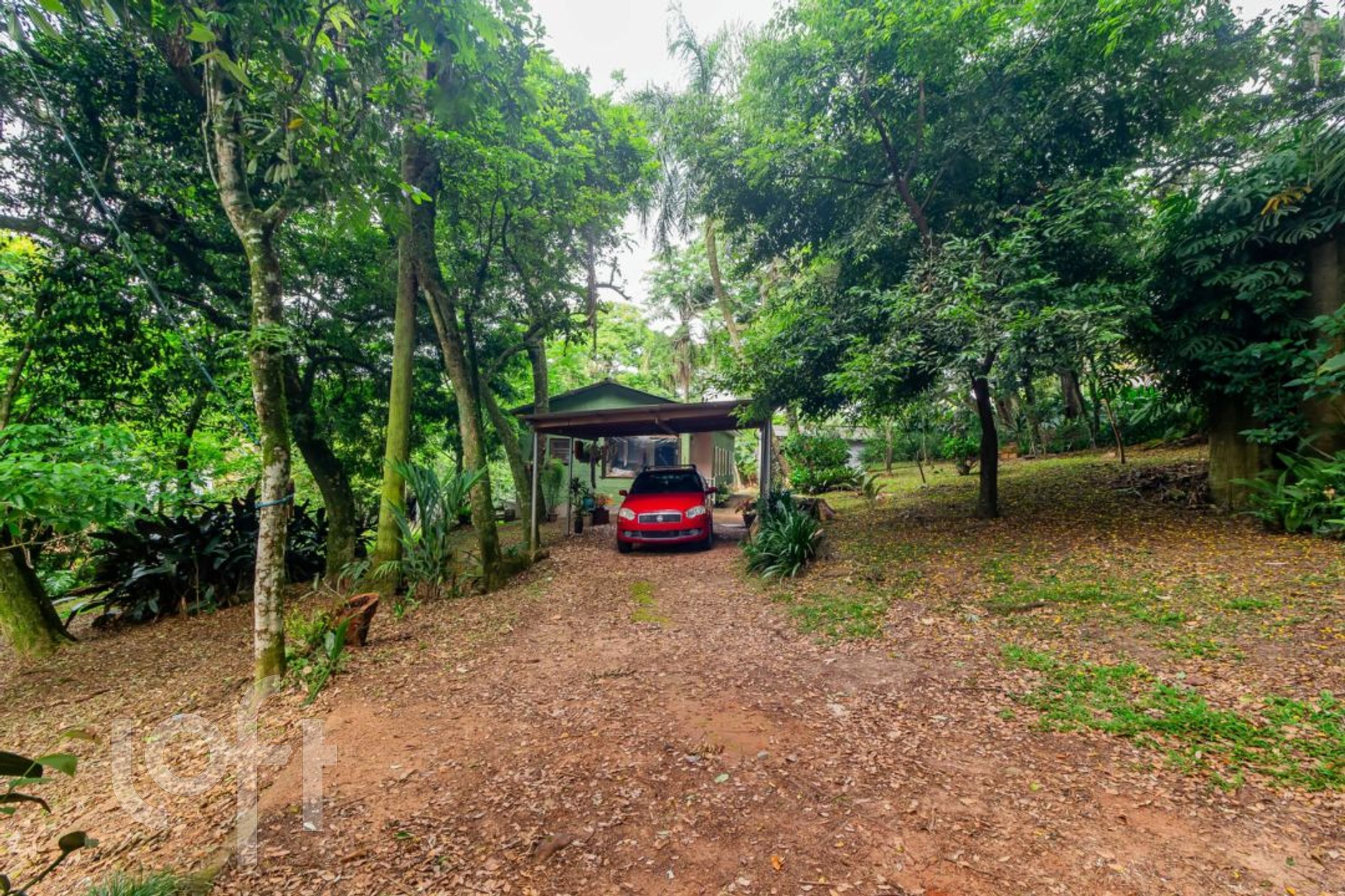 Imagem da propriedade 64