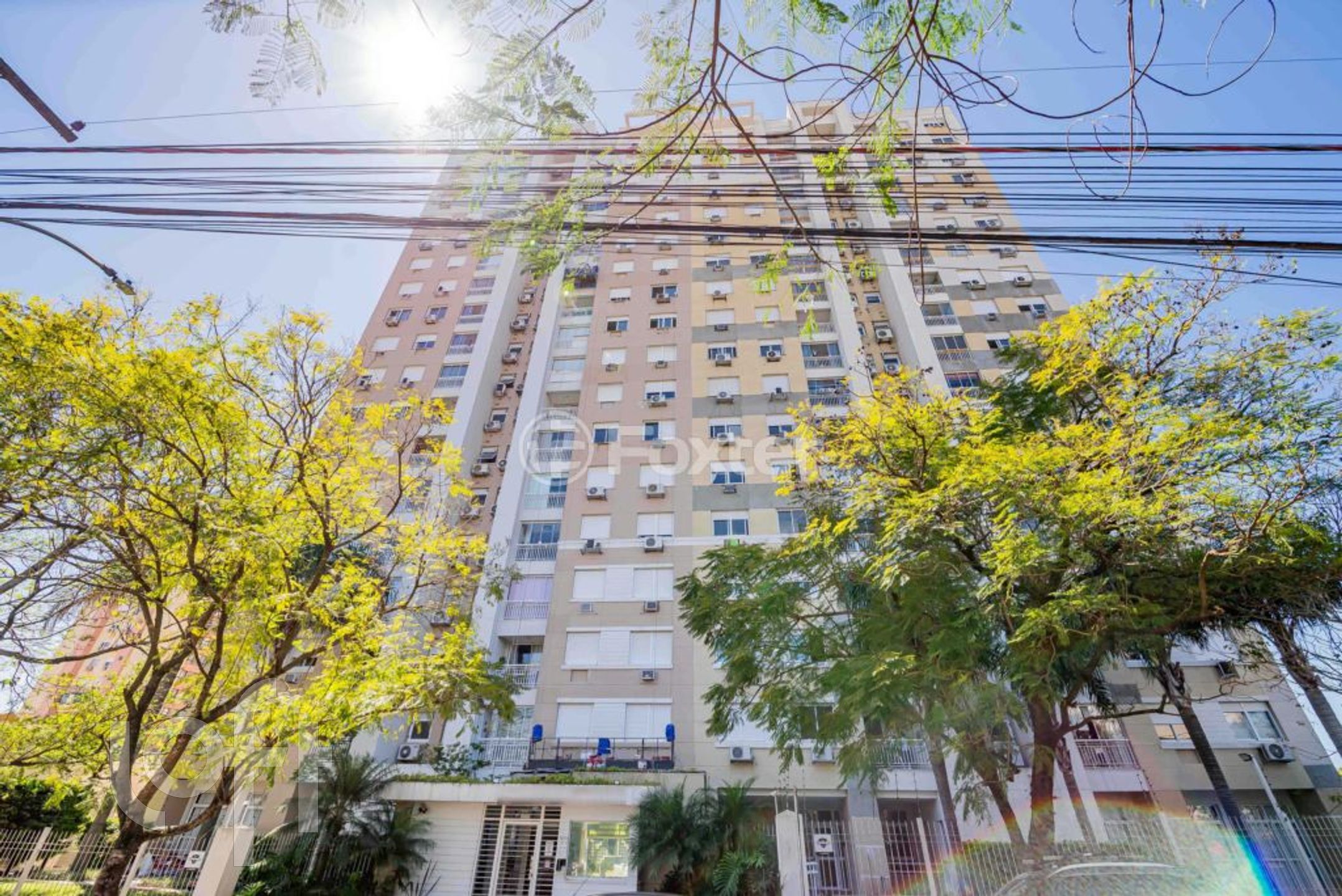 Imagem da propriedade 27