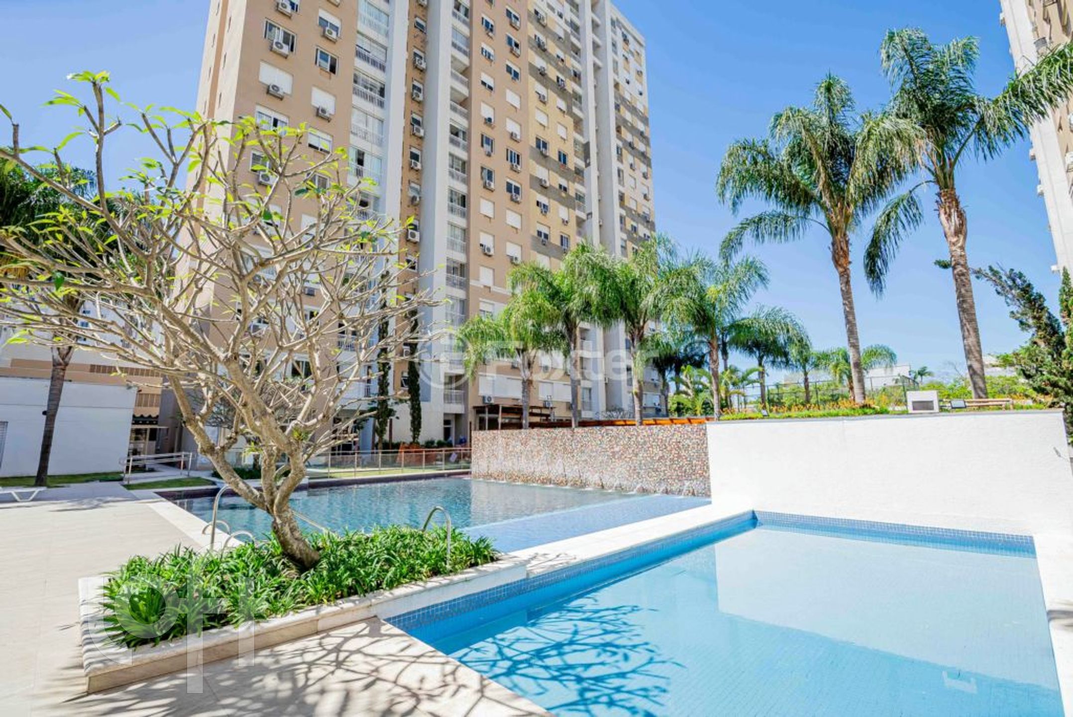 Imagem da propriedade 31