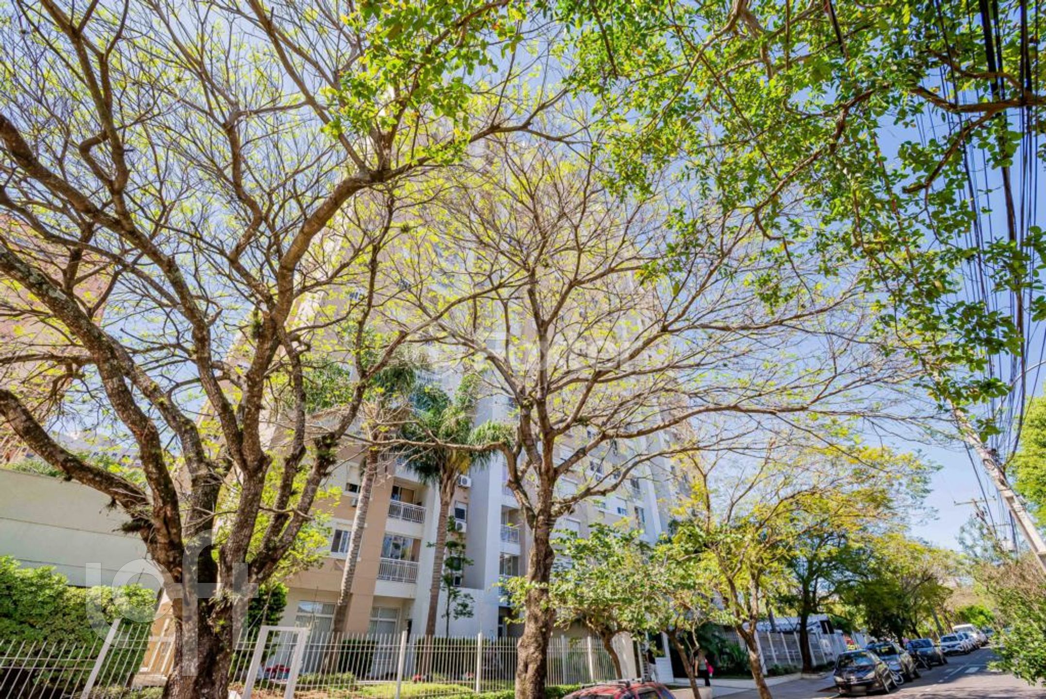 Imagem da propriedade 26