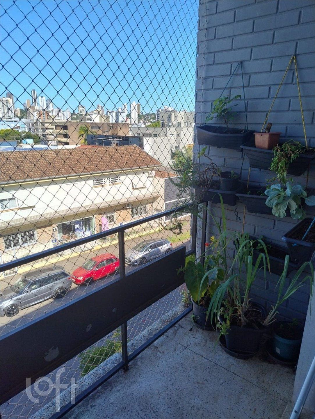 Imagem da propriedade 5