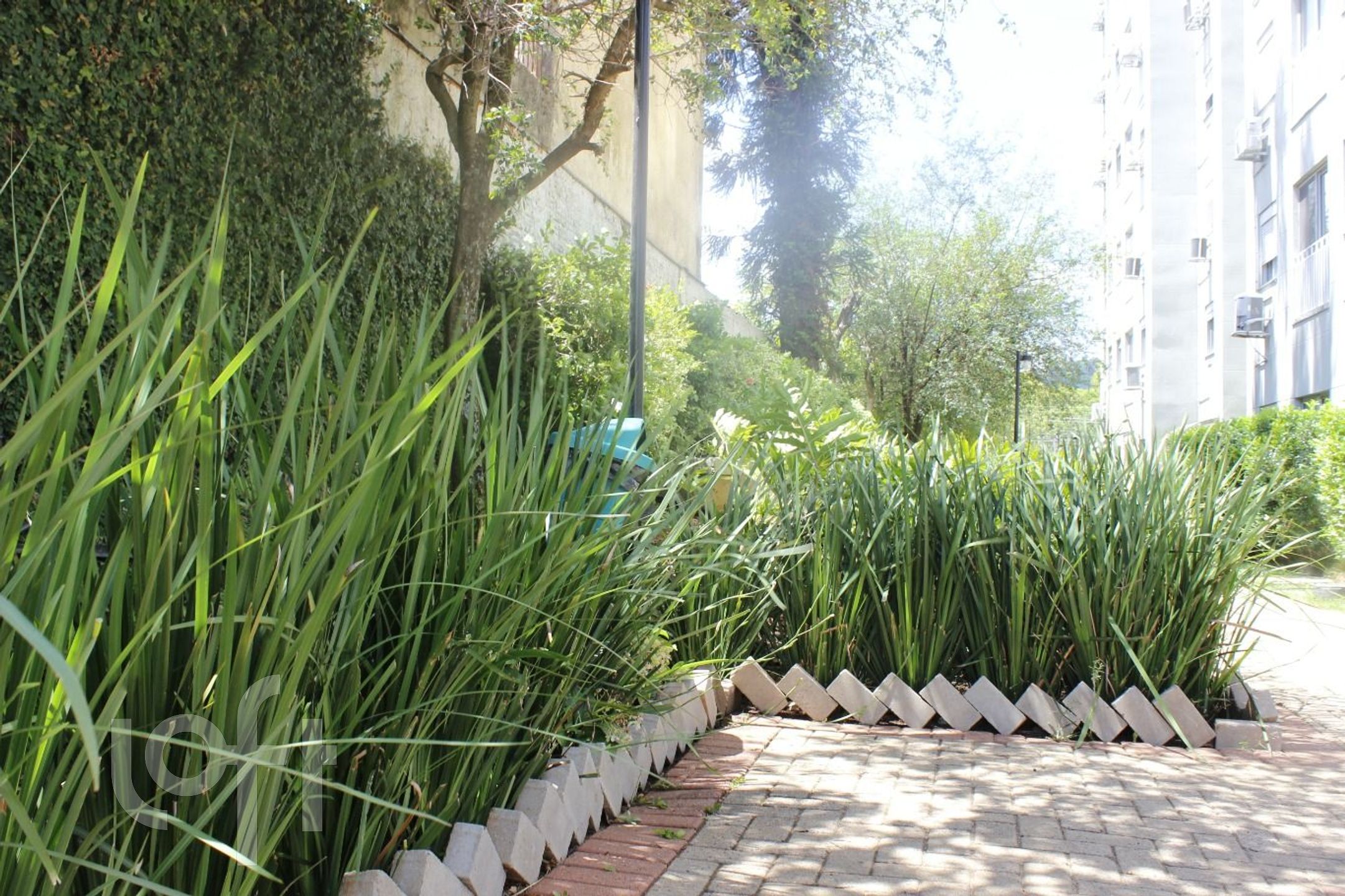 Imagem da propriedade 24