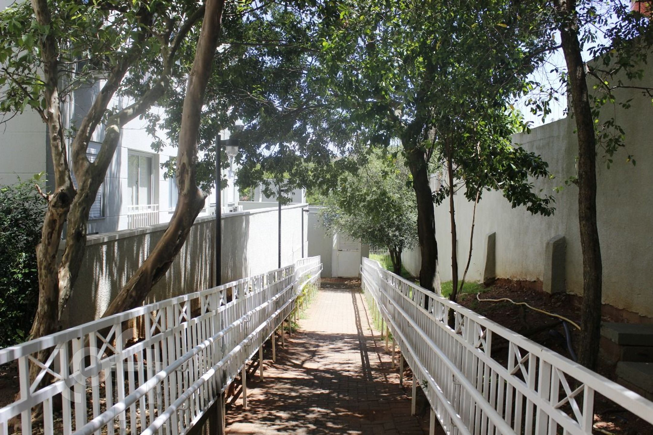 Imagem da propriedade 20