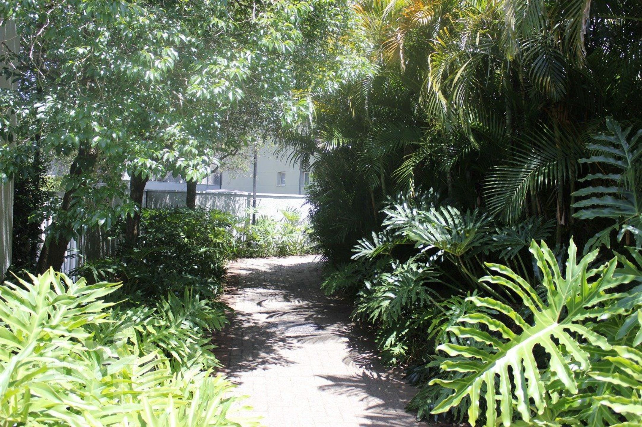 Imagem da propriedade 27