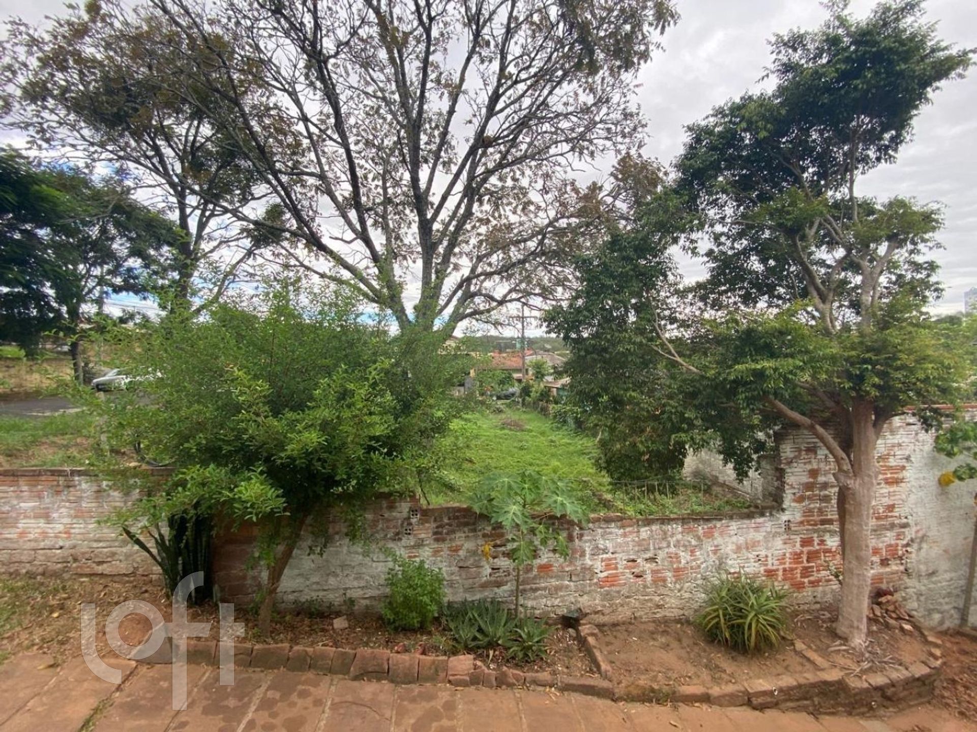 Imagem da propriedade 11