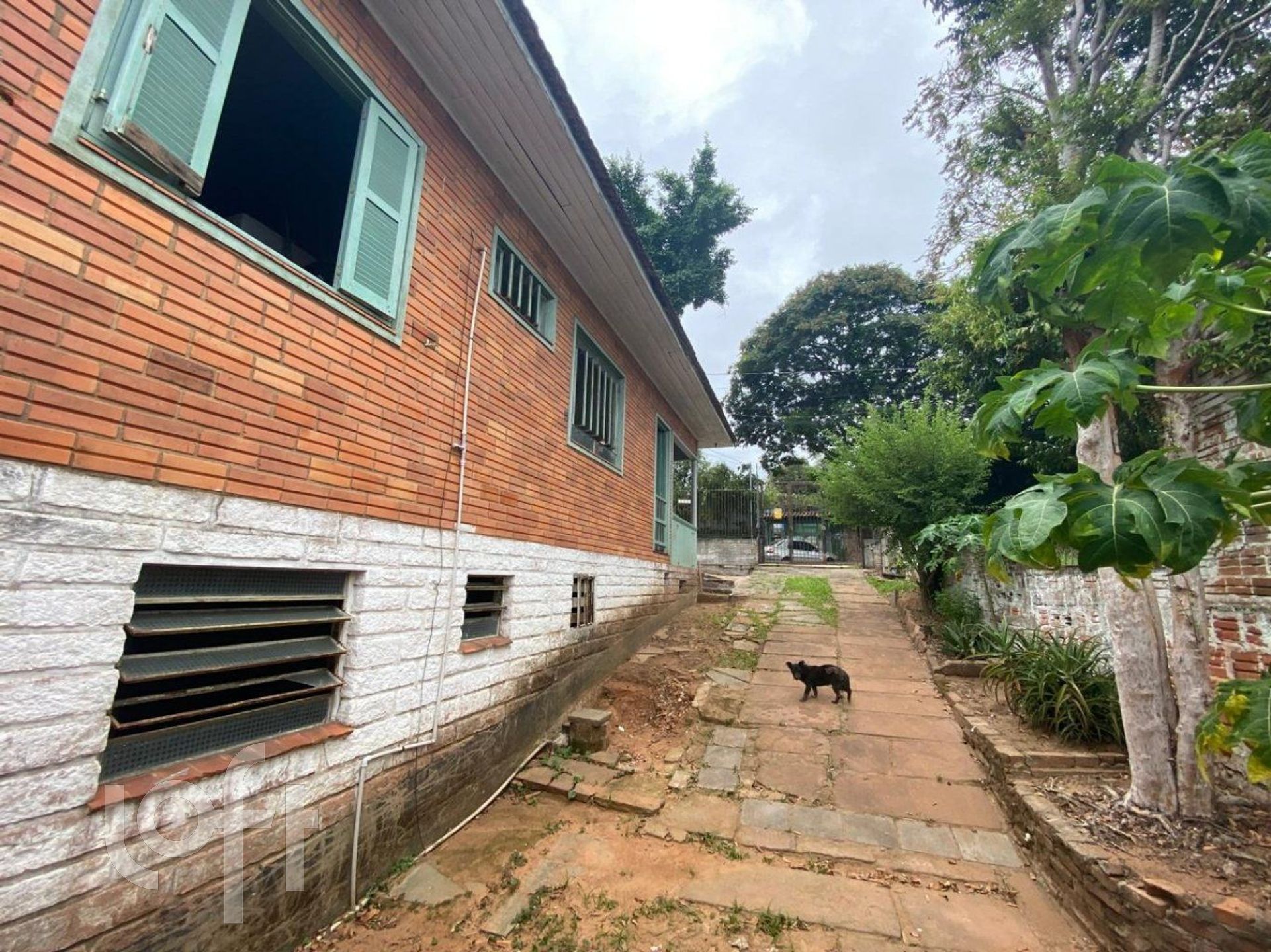 Imagem da propriedade 19