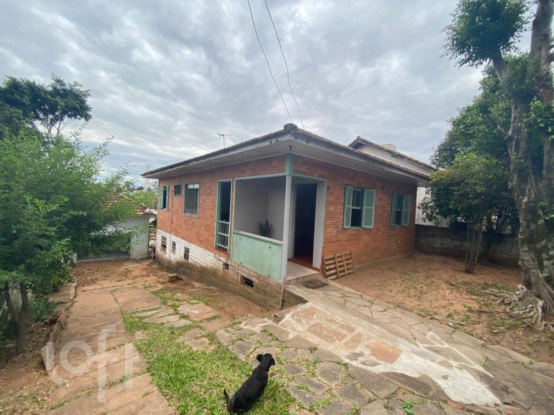 Imagem da propriedade 3