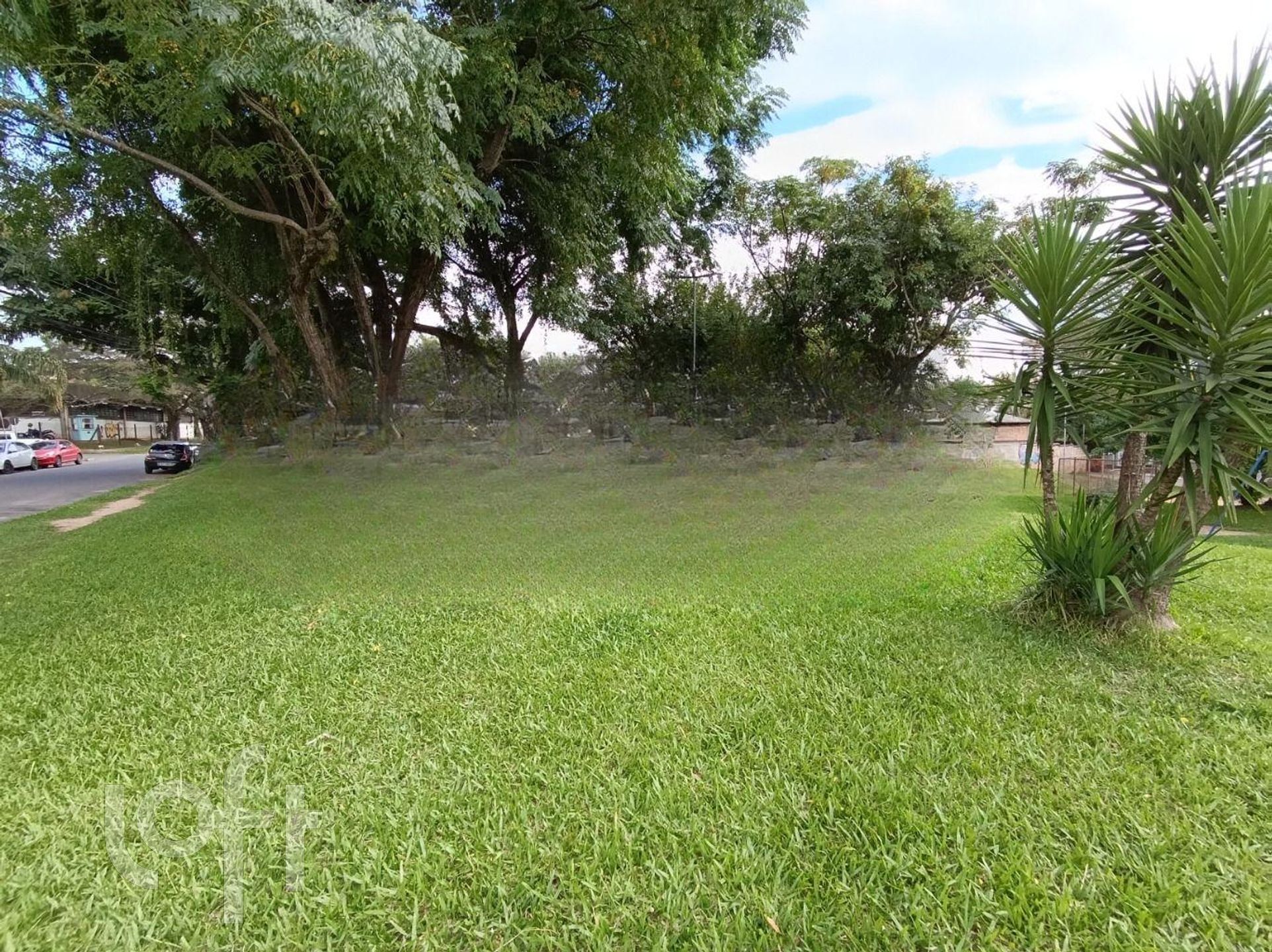 Imagem da propriedade 13