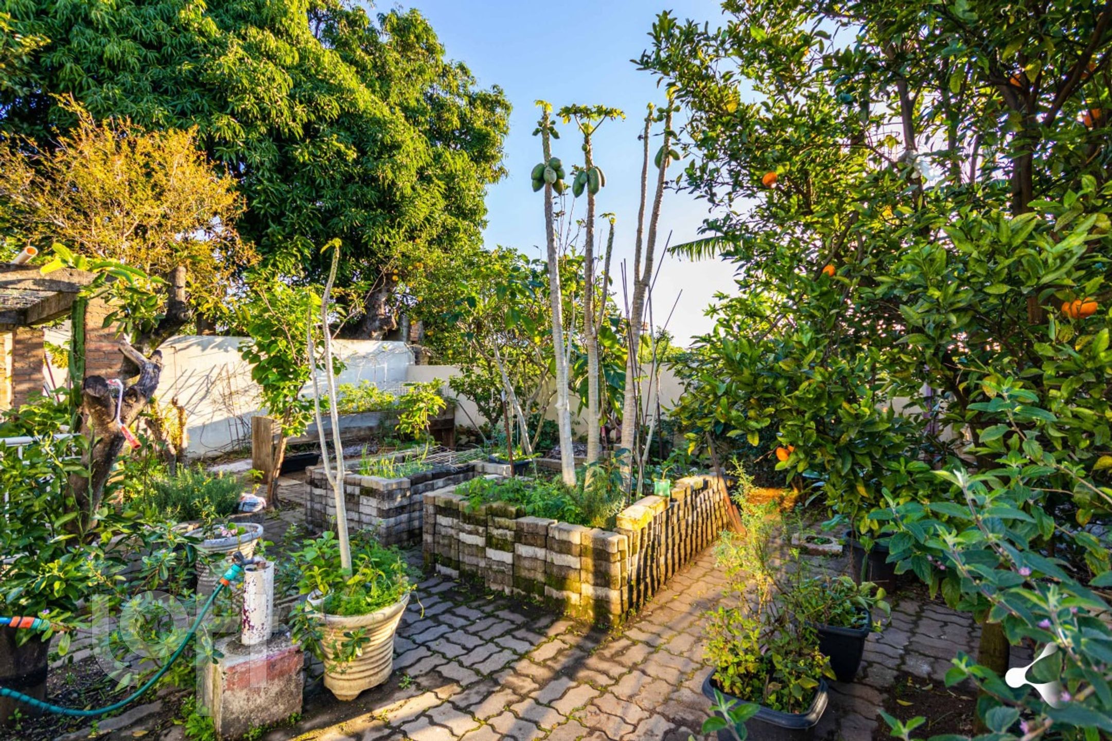 Imagem da propriedade 23