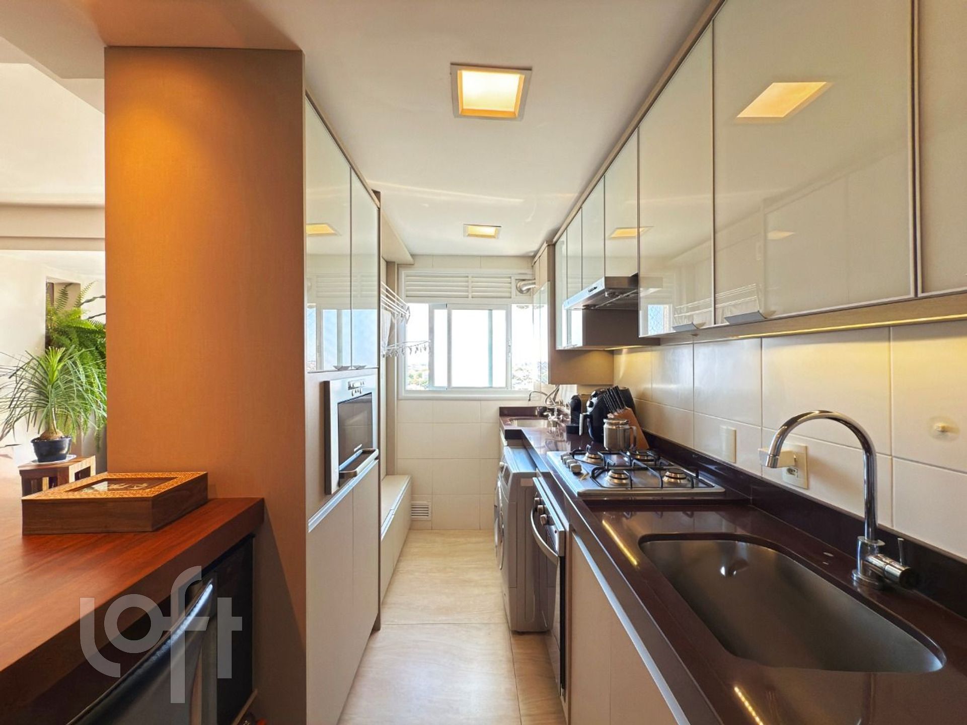 Imagem da propriedade 19