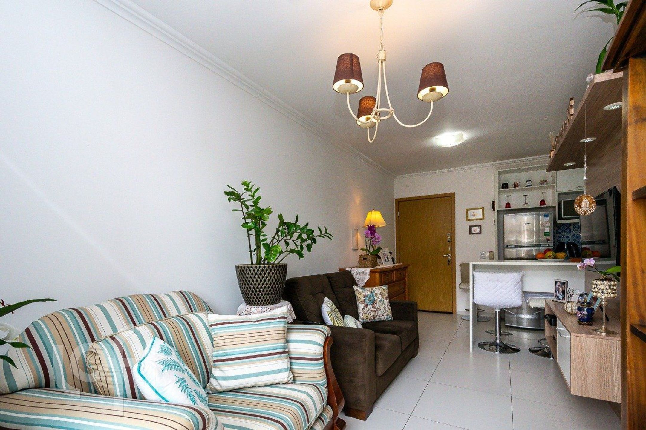 Imagem da propriedade 3