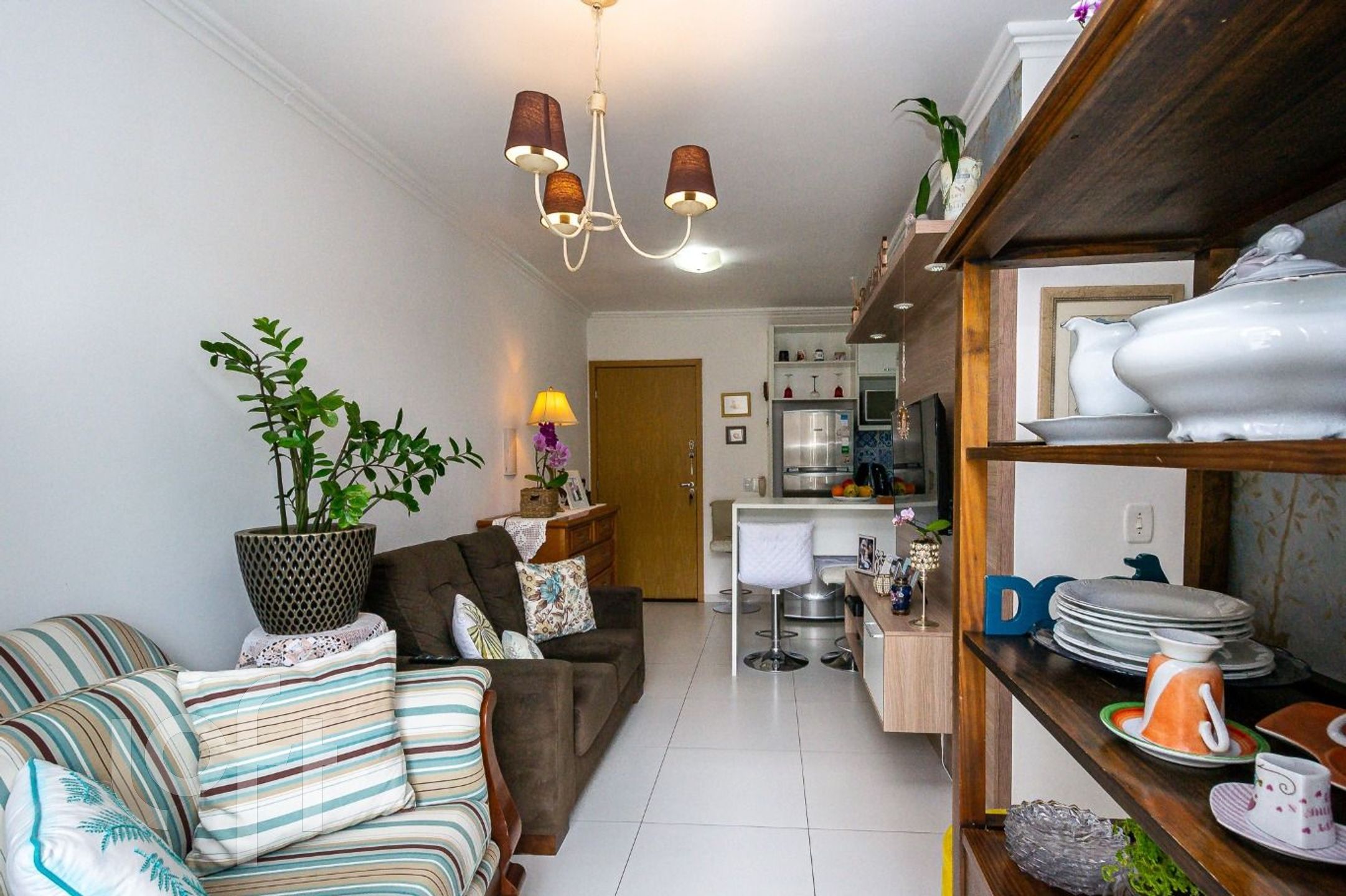 Imagem da propriedade 4