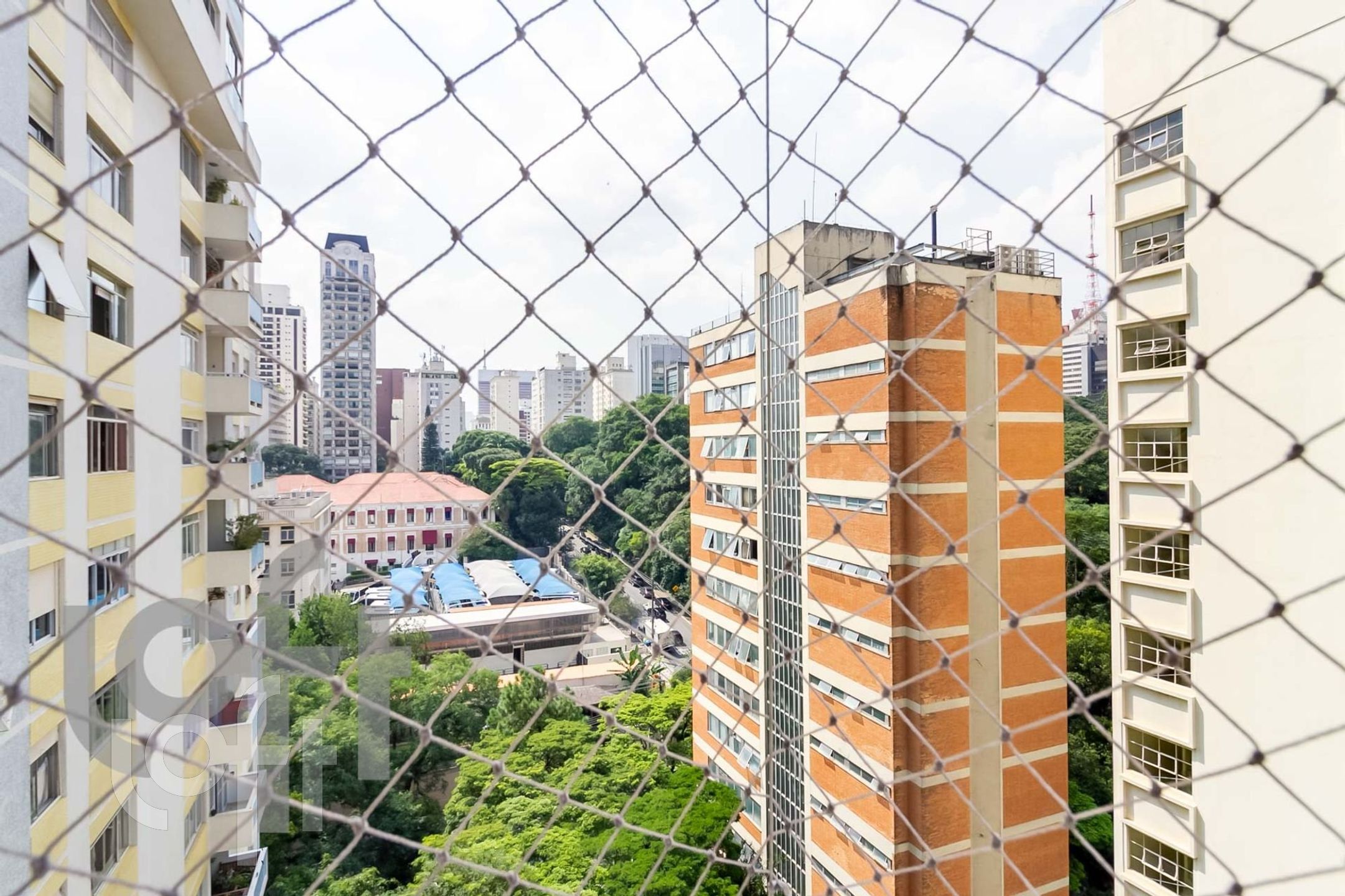 Imagem da propriedade 13