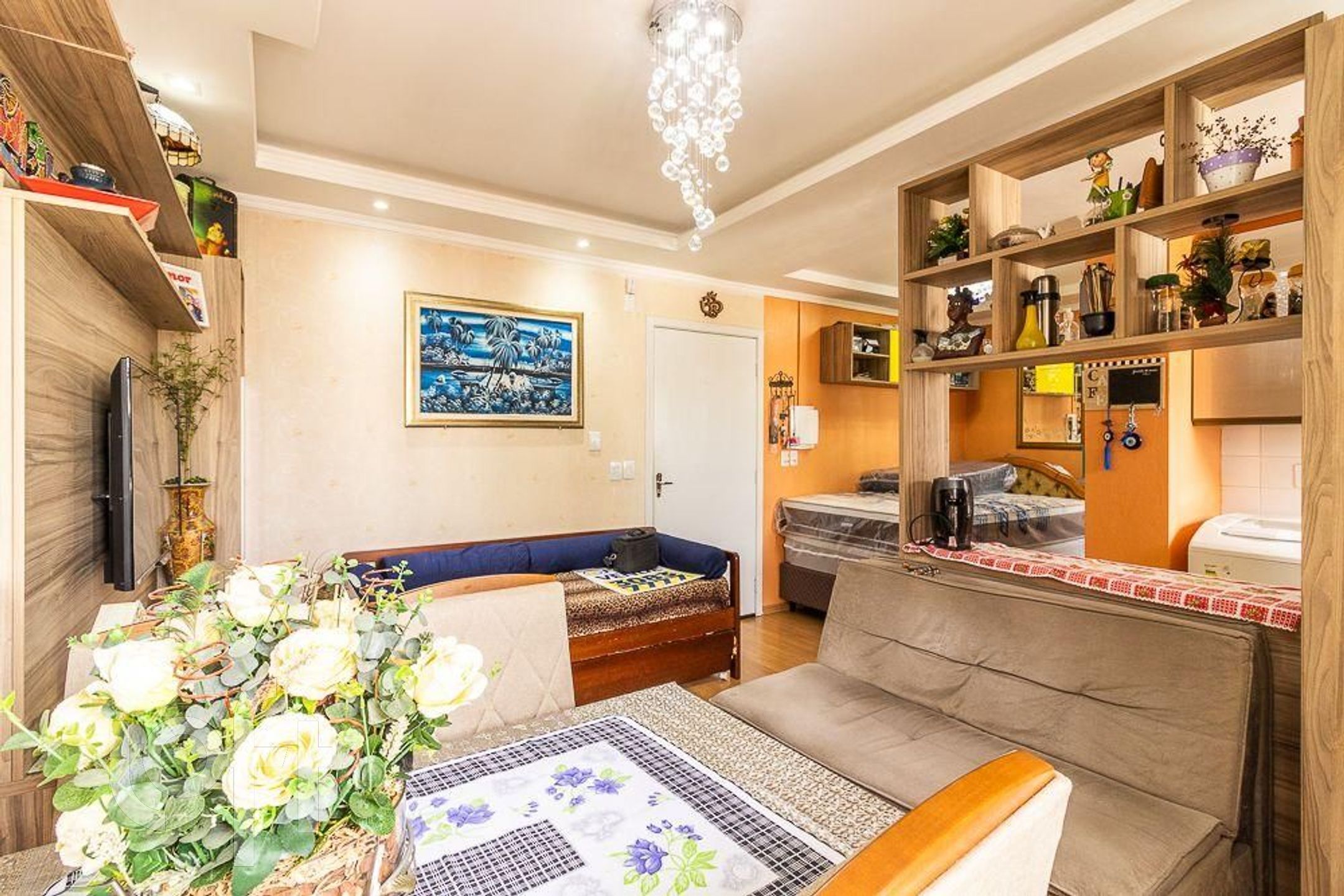 Imagem da propriedade 18