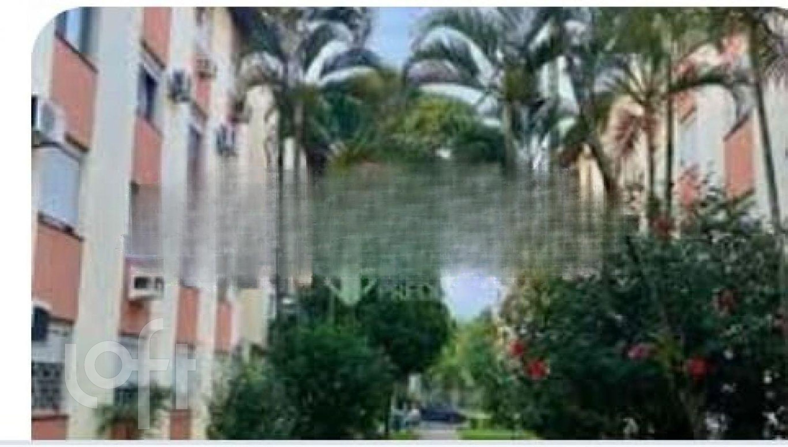 Imagem da propriedade 13