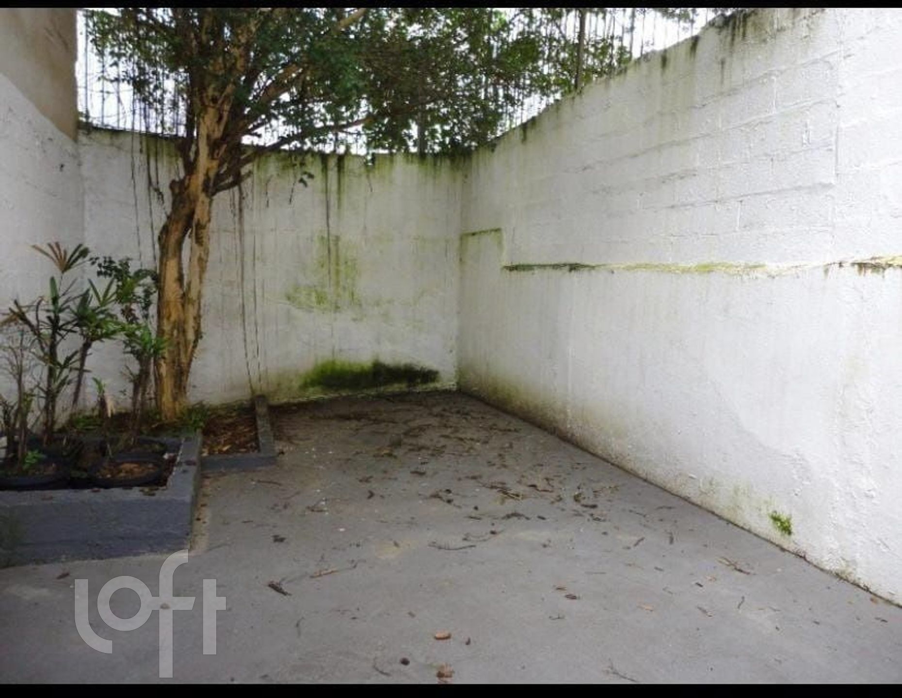 Imagem da propriedade PU1hqnlnt 11