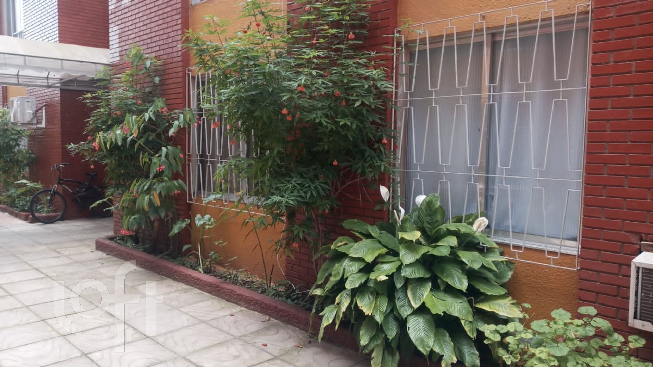 Imagem da propriedade 6