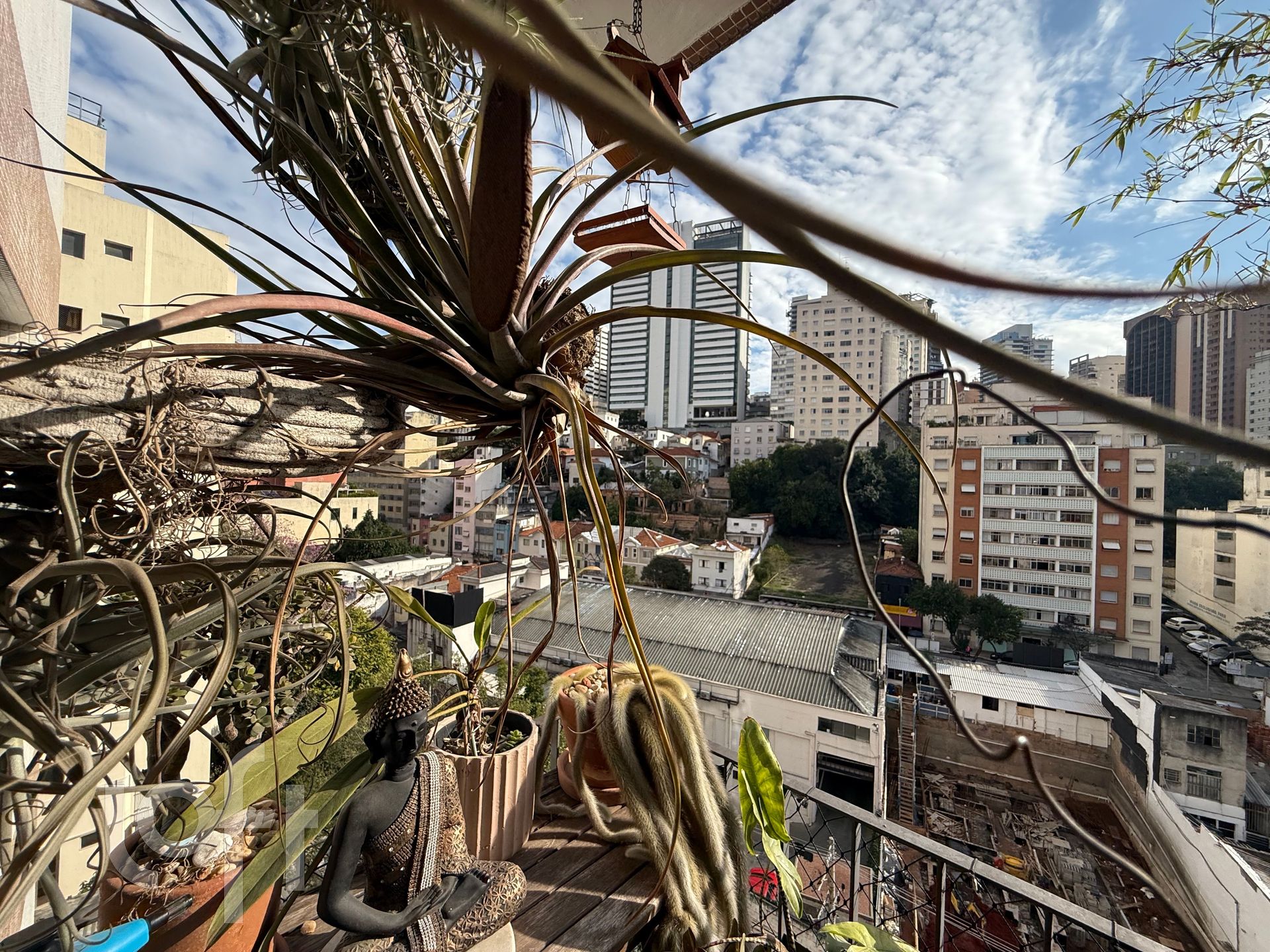 Imagem da propriedade 9