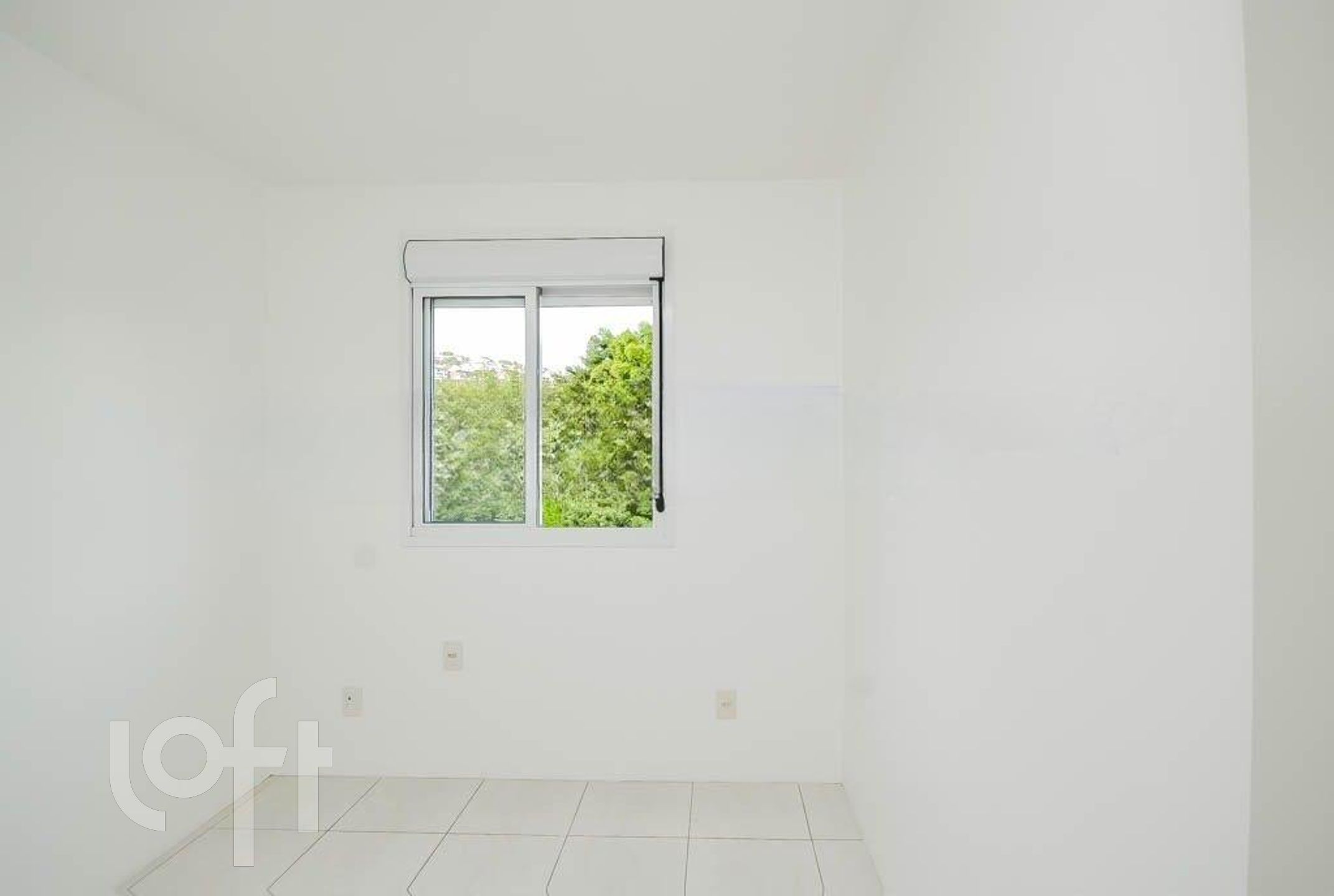 Imagem da propriedade 12