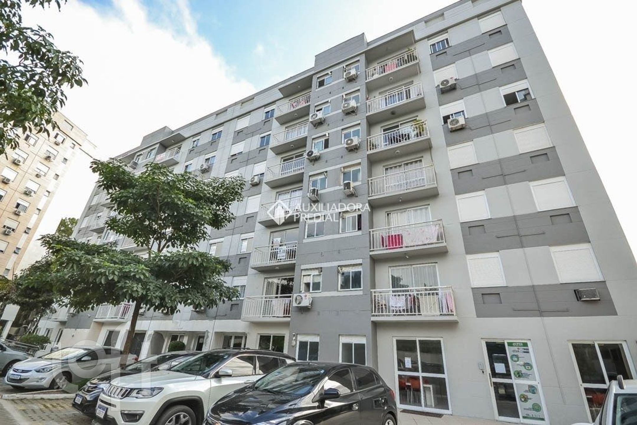 Imagem da propriedade 21