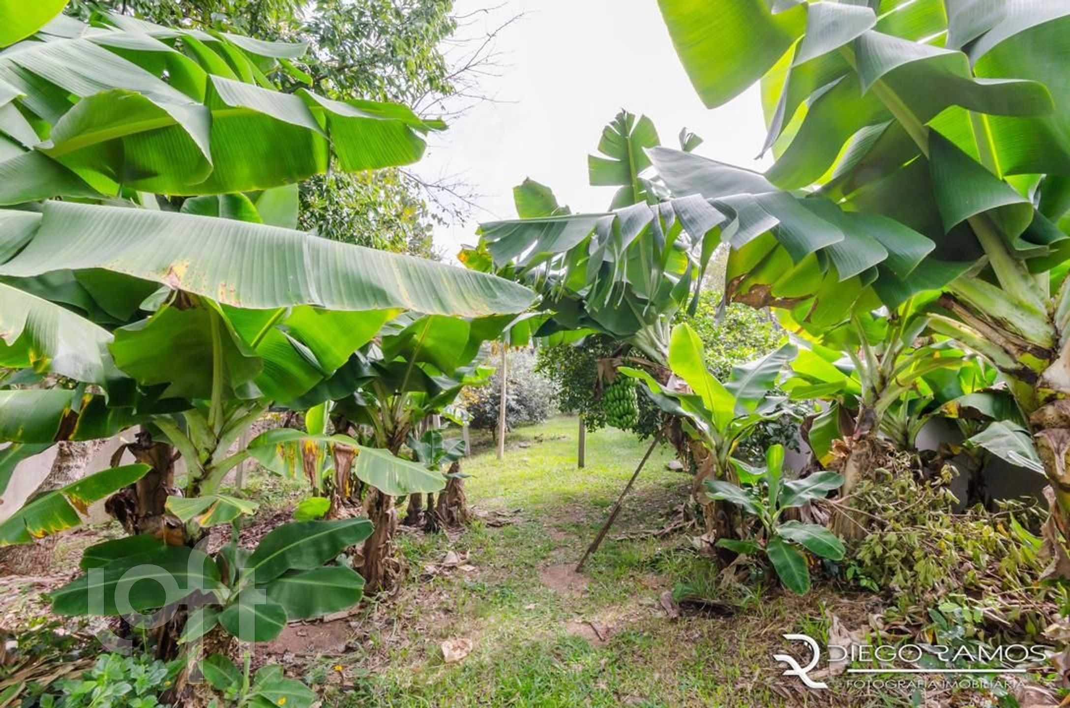 Imagem da propriedade 42